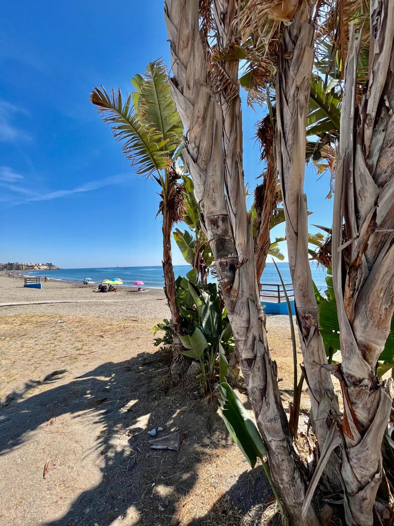 Apartamento De Playa Reformado