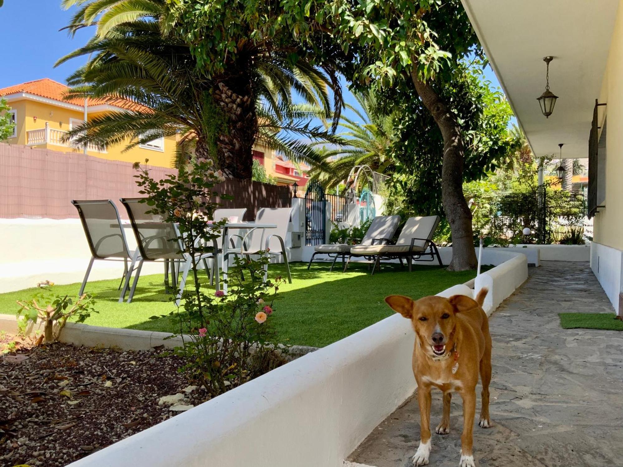 Сasa de vacaciones La Casa De Flor Teleworking *