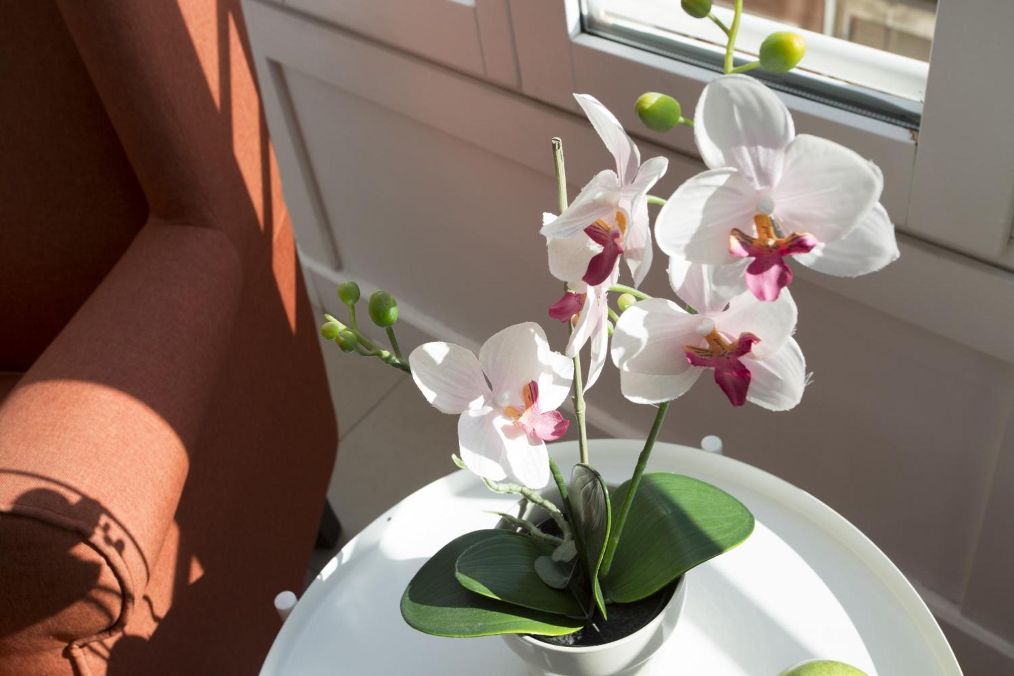 Apartamento Singularstays Mar44