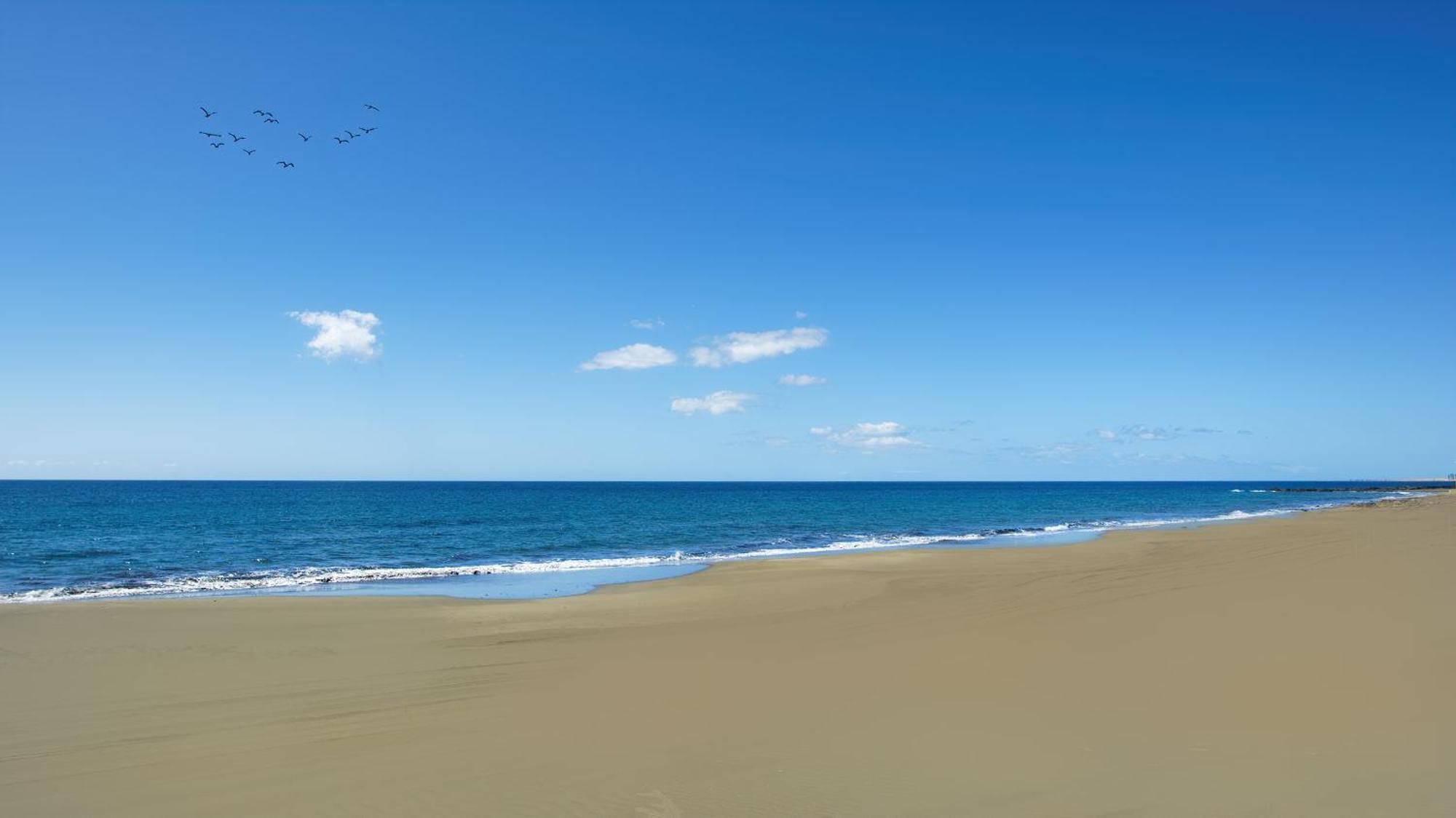 Pura Vida Apartamento San Agustín
