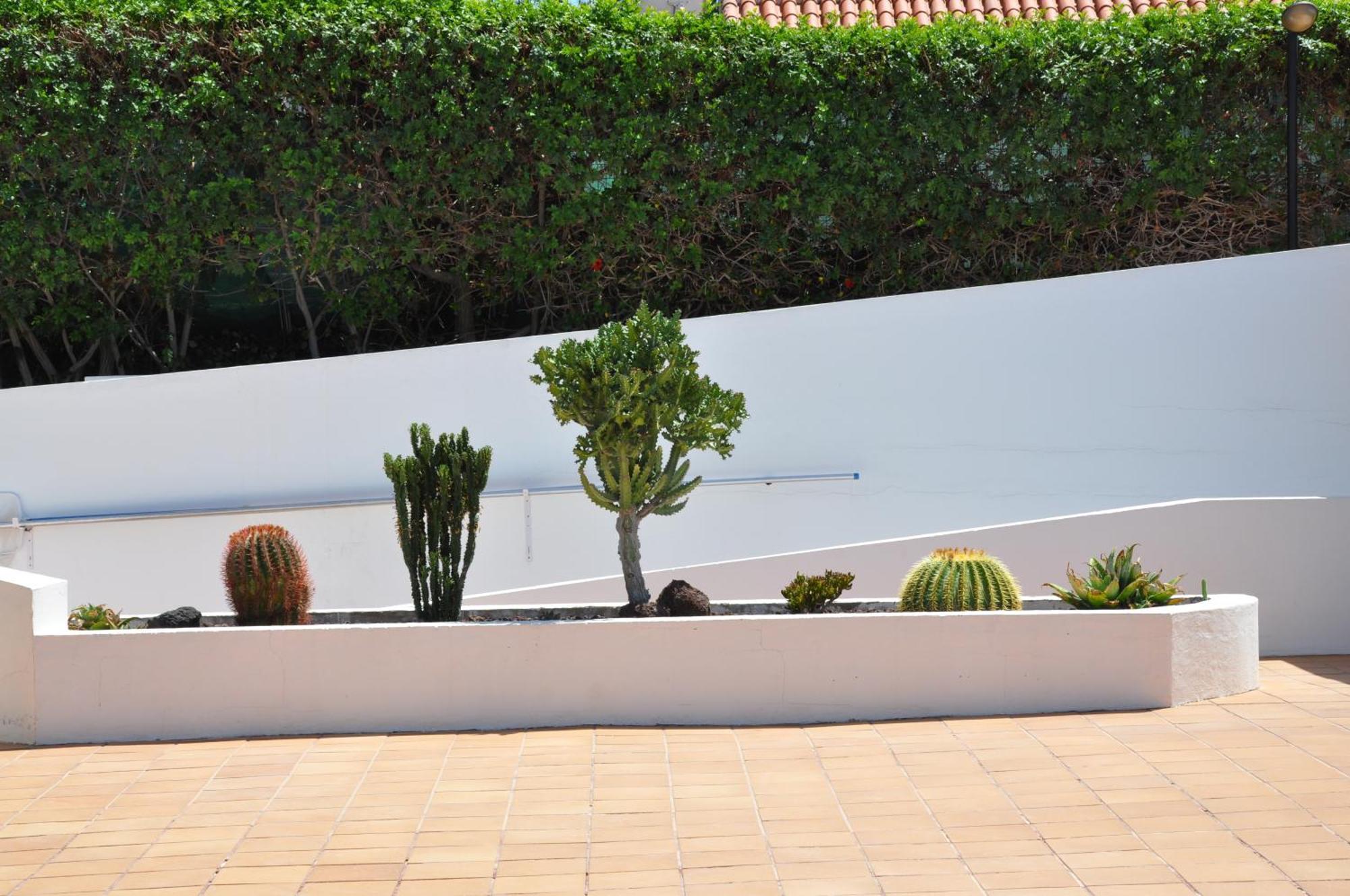Apartamento Serenity Garden Maspalomas (Gran Canaria)