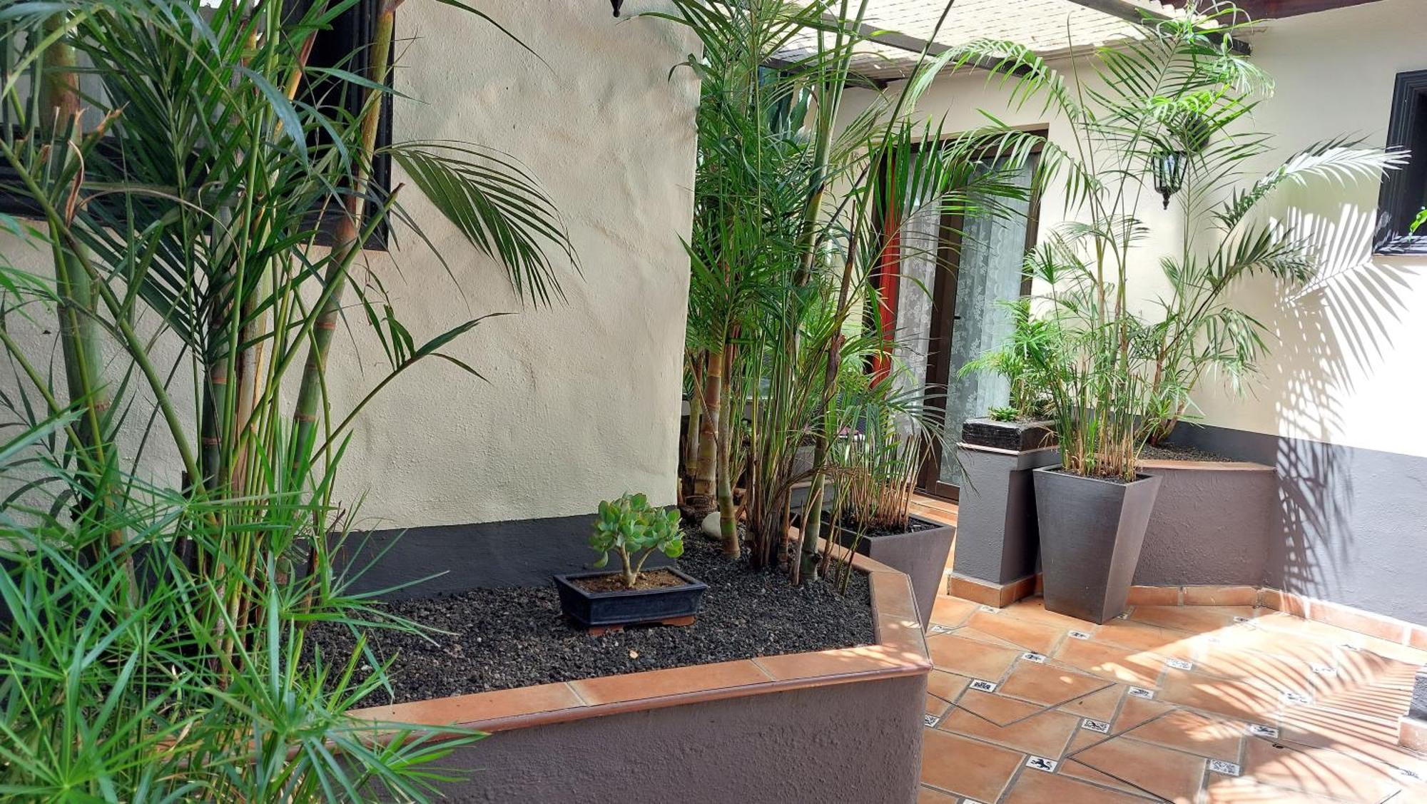 Apartment Monasterio De San Antonio - Adults Only *