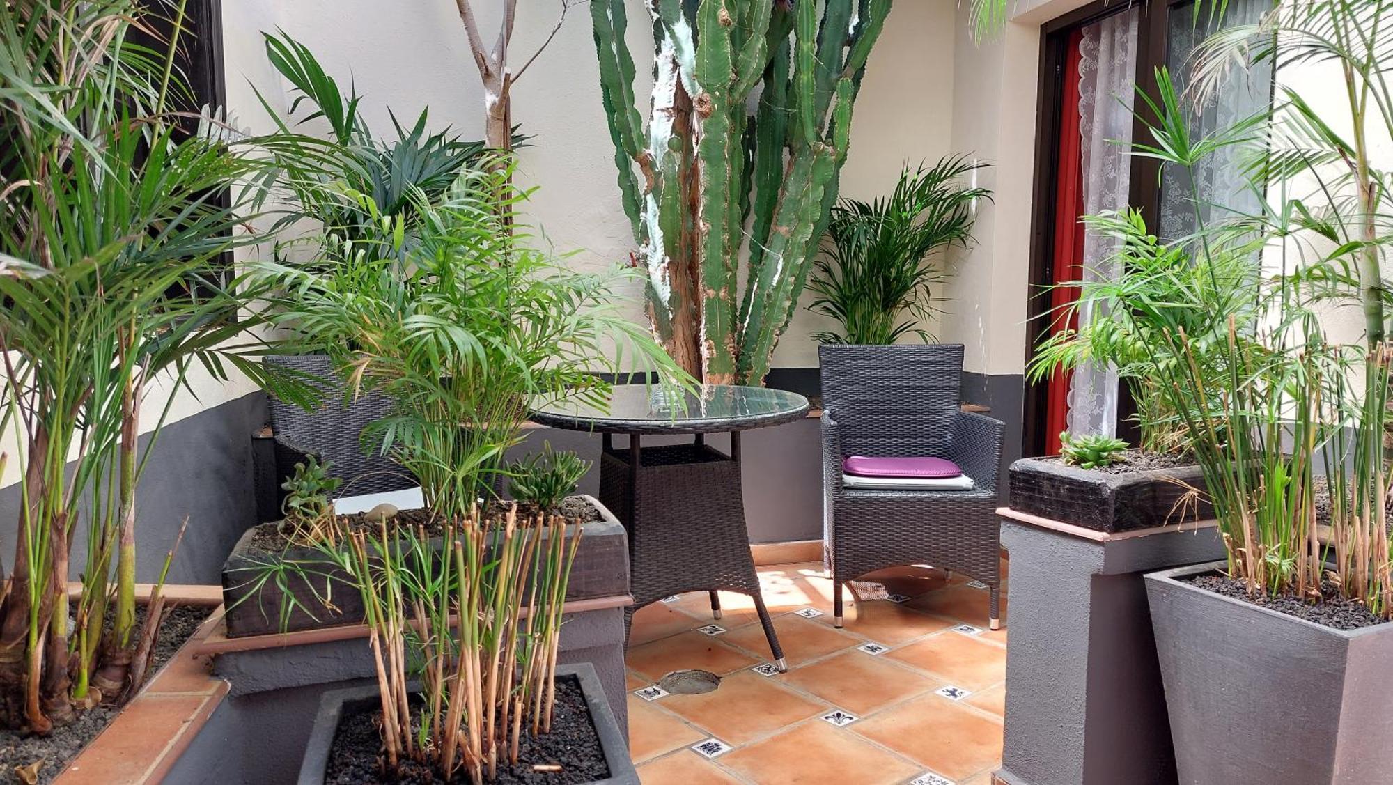 Monasterio De San Antonio - Adults Only Apartment Icod De Los Vinos