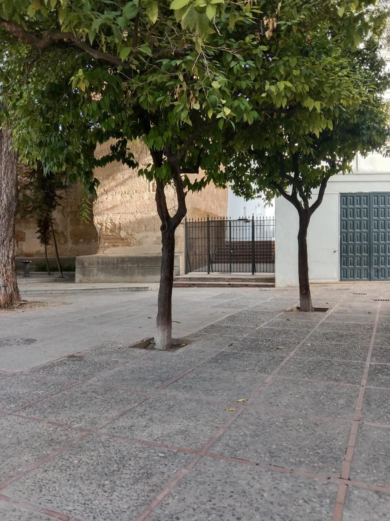 Casa Amurallada Mnuela , Wifi, Garage Opcional Apartamento Jerez de la Frontera