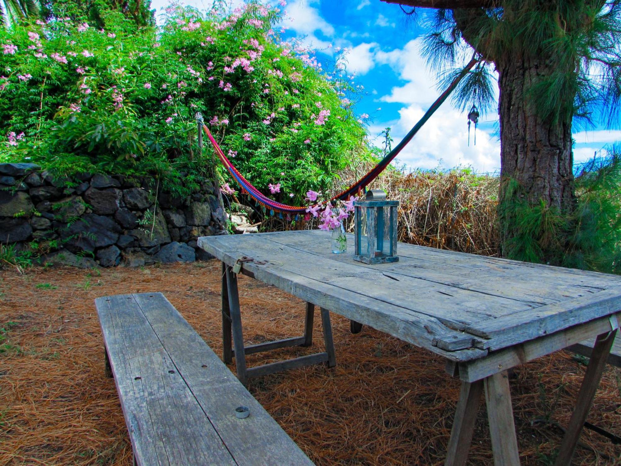 La Bodega Casa Rural Con Piscina Y Jardines