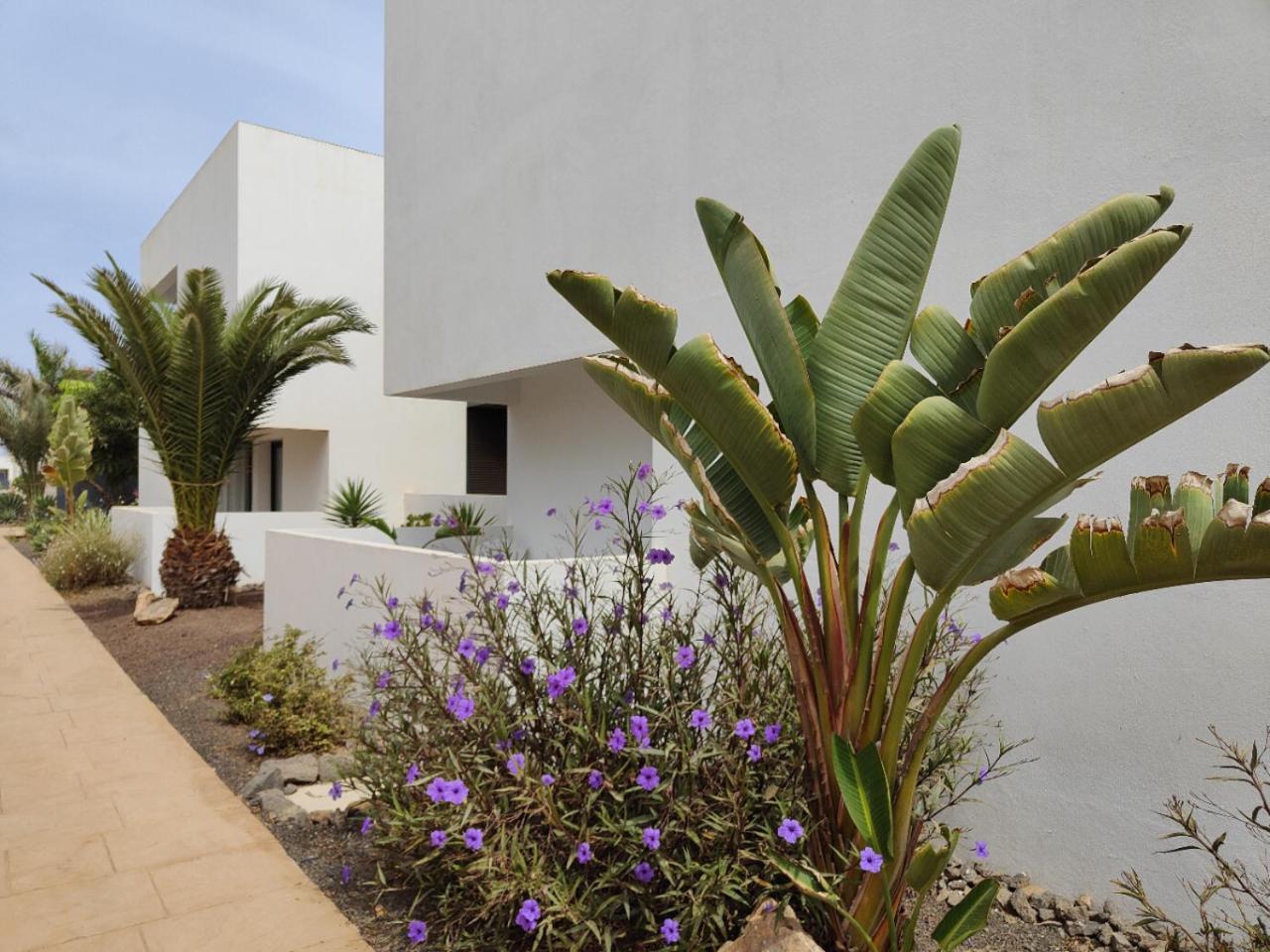 Marta & Lorenzo Apartment. Fuerteventura Apartment