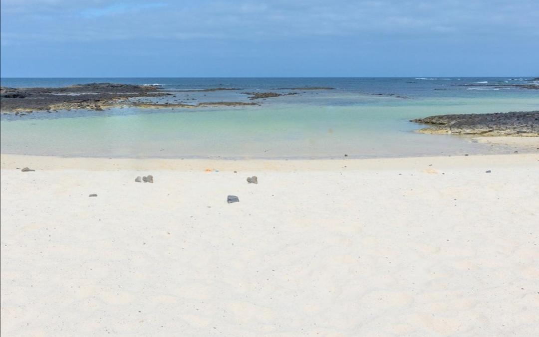 Nire Lula En La Misma Playa
