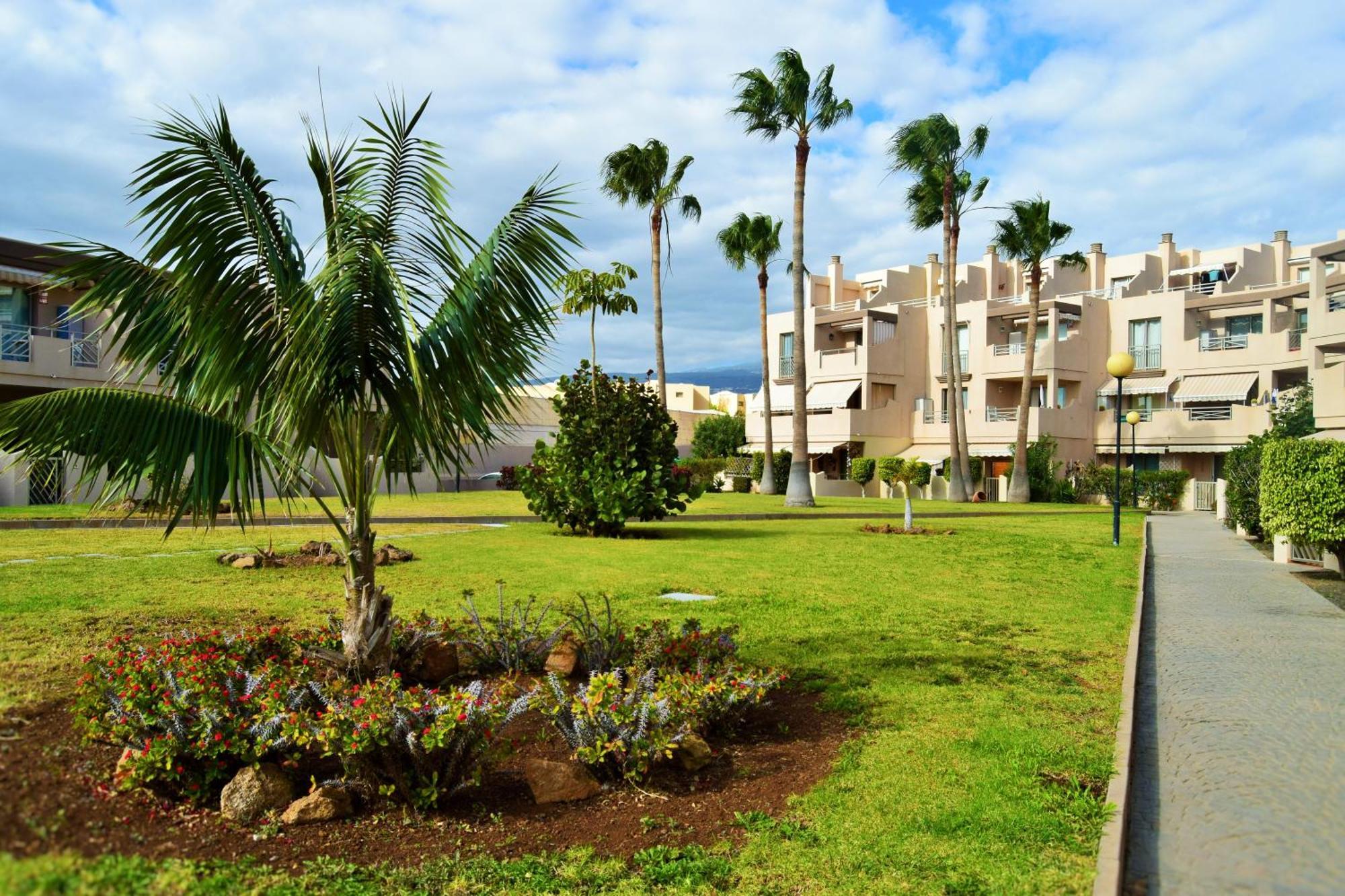 Apartamento Alquilaencanarias-la Tejita Pirata! *