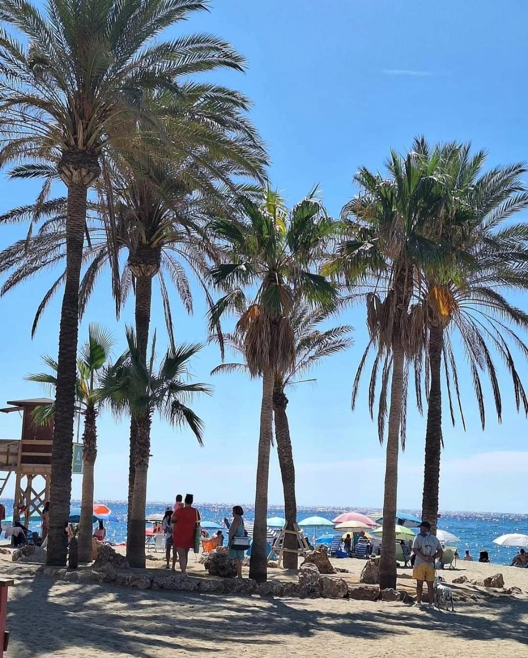 Apartment Luxury Beachfront With Pool, Sauna, Fitness And Gym In Province Malaga, Andalusia Mijas