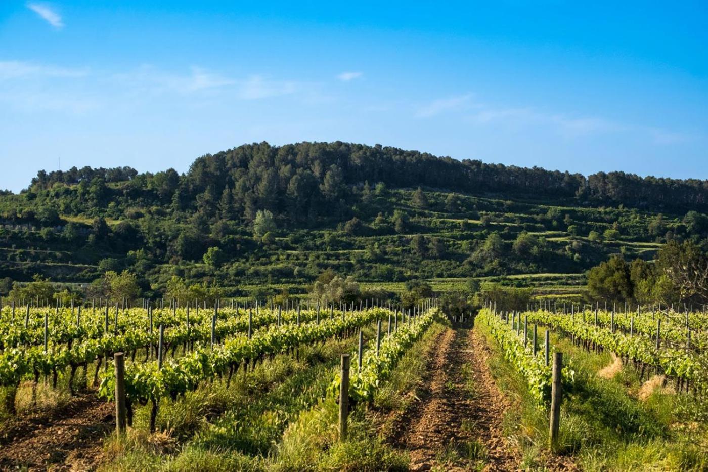 Hotel Air Penedes 4*