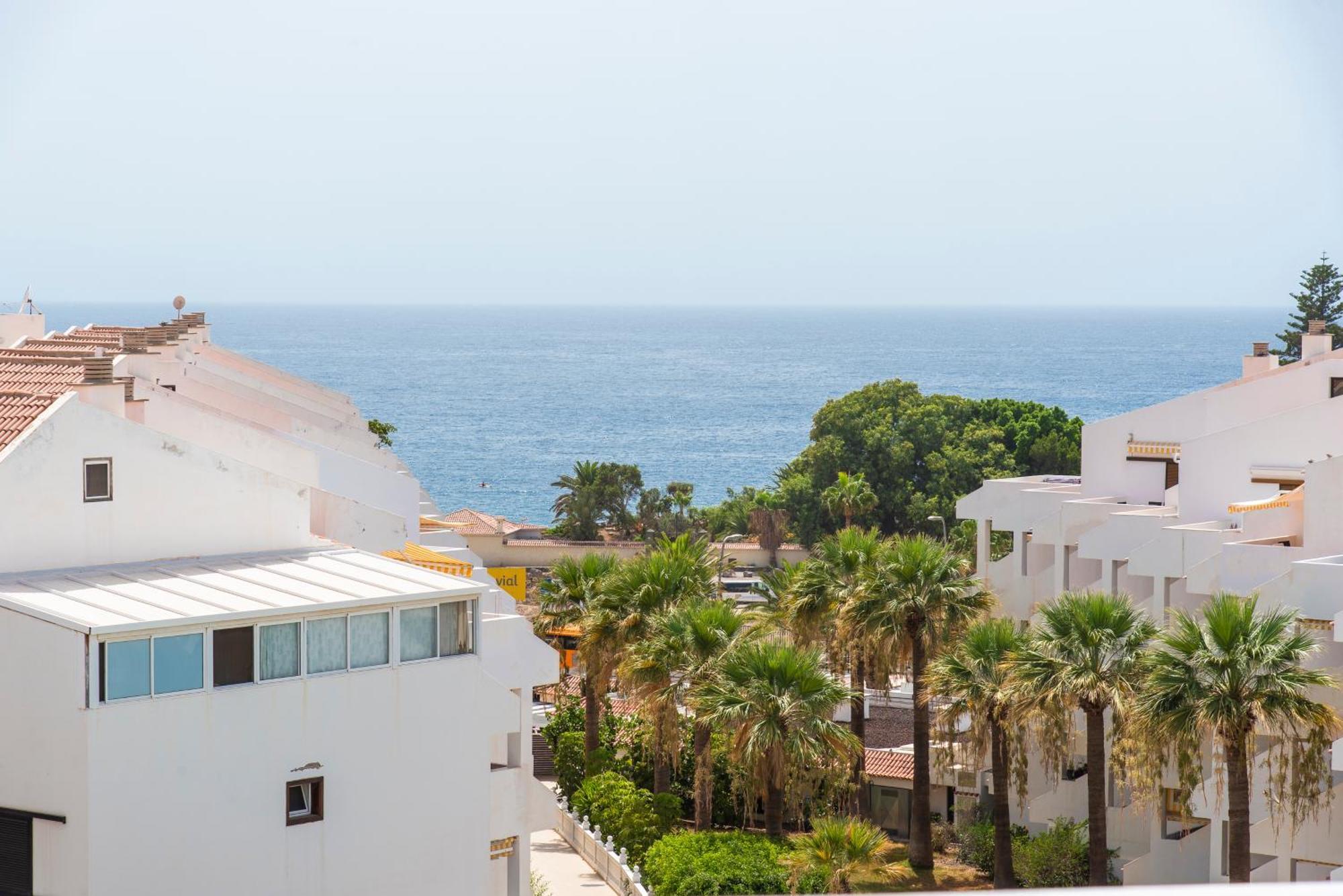 Paloma Los Cristianos (Tenerife)