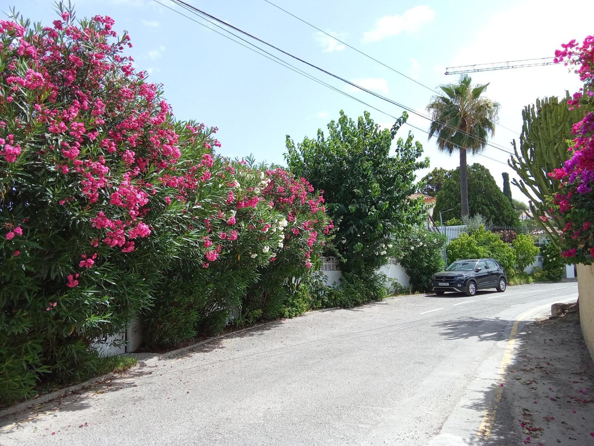 Bungalow Marbella (San Pedro Alcantara) Marbella