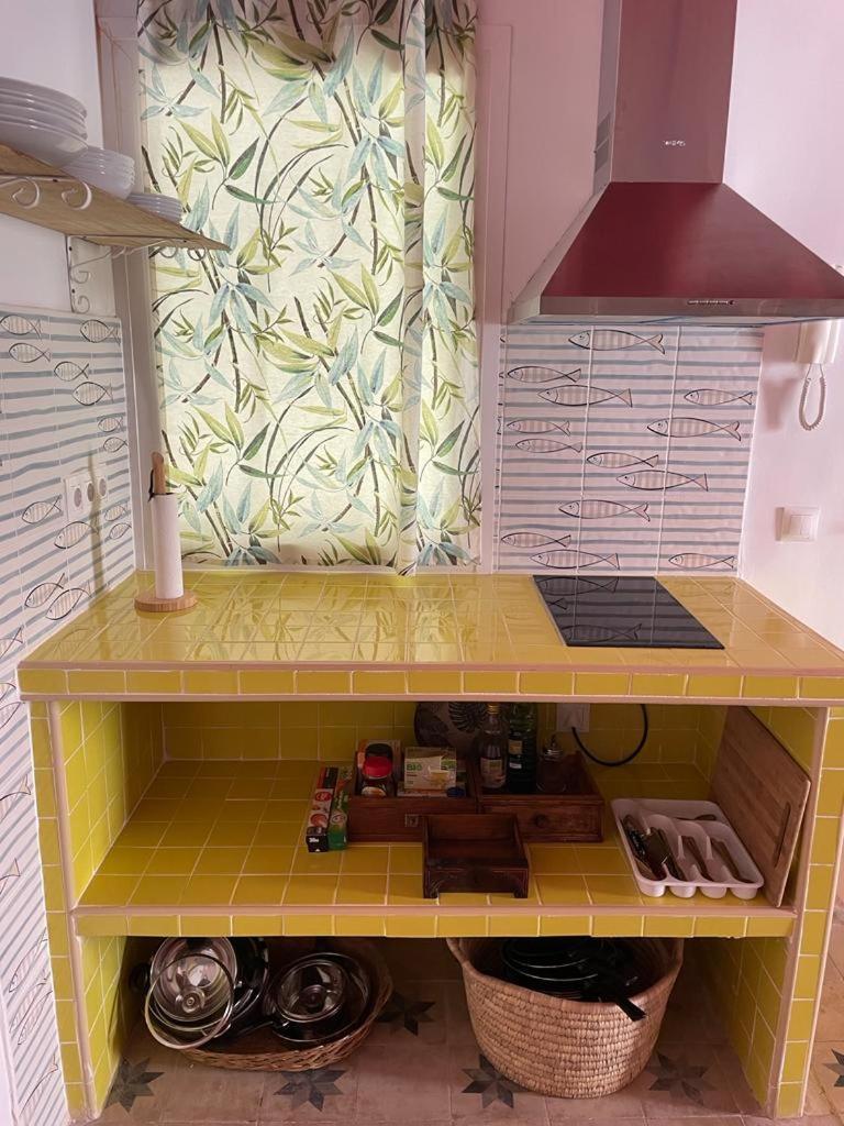 La Casa Del ático Gorila * Cádiz