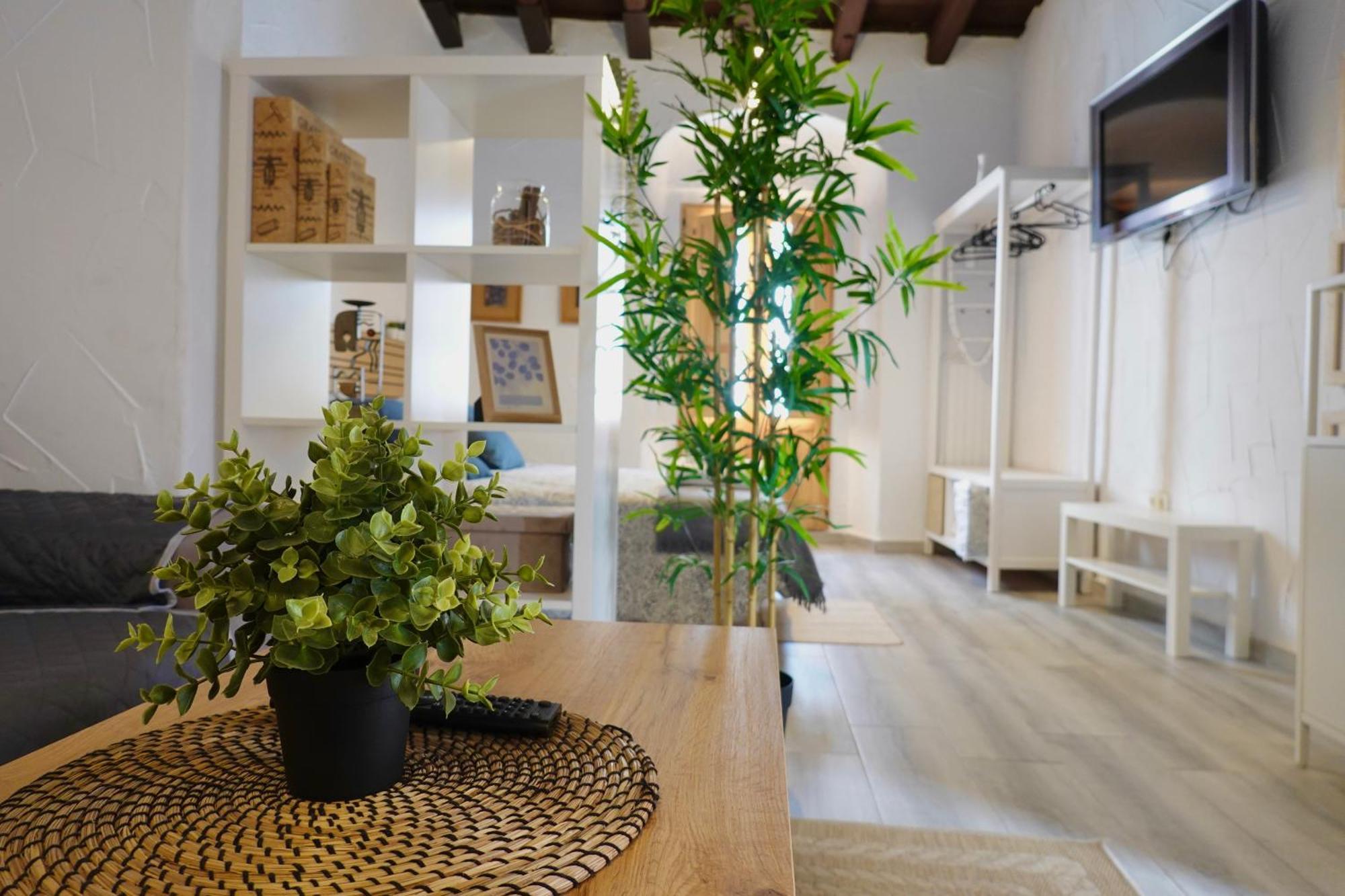 Apartamento Astaregia Jerez de la Frontera
