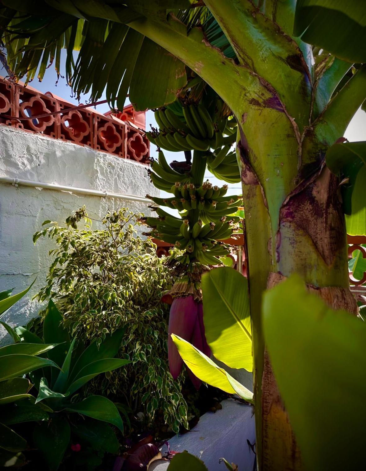 Holiday home Casa Cucu