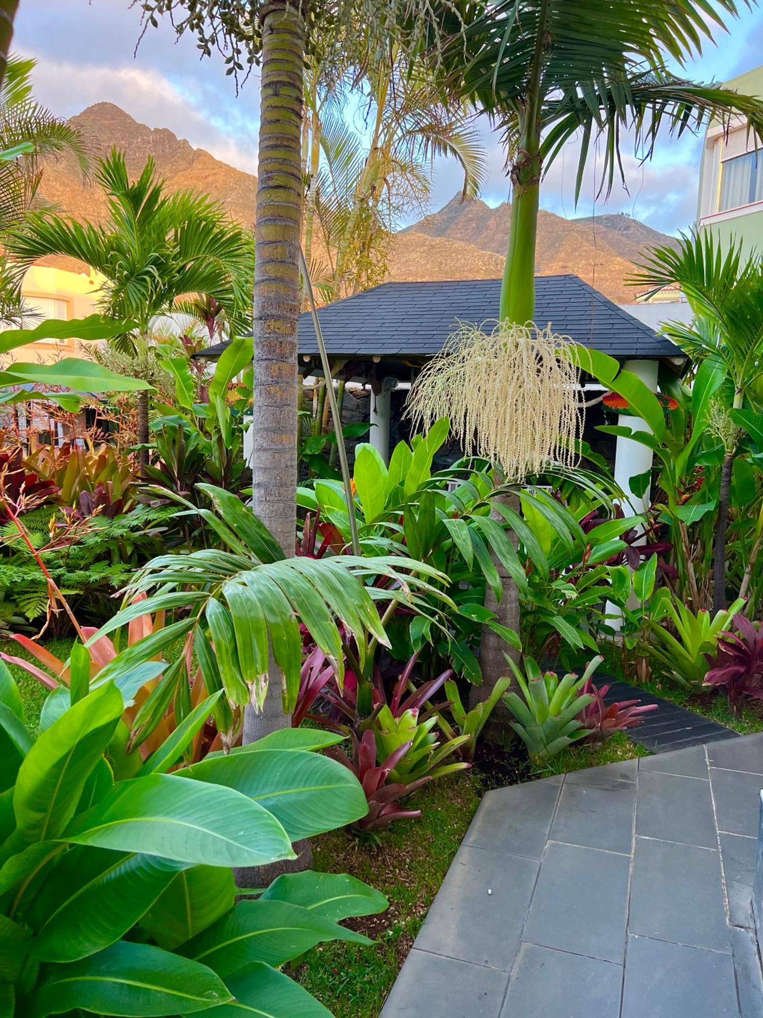 La Selvita Homestay