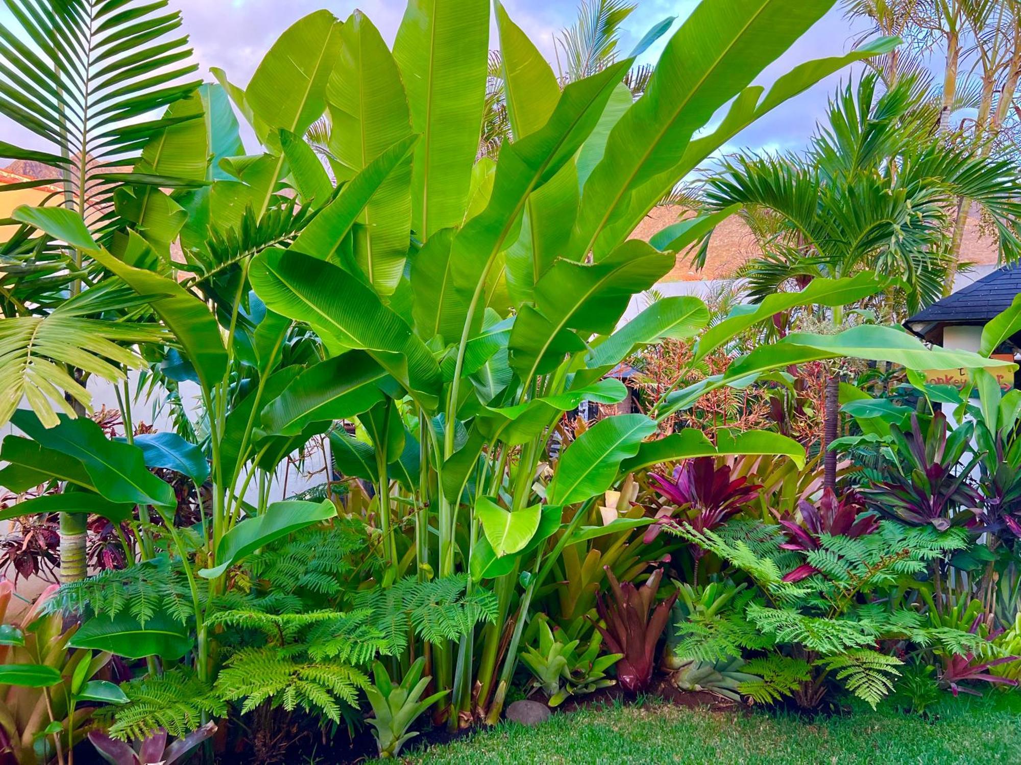 Homestay La Selvita