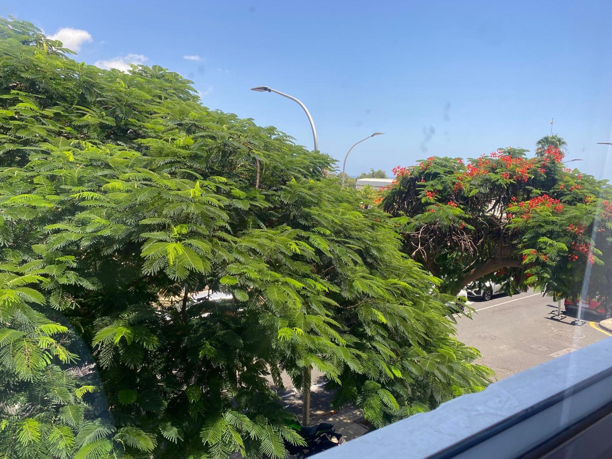 Apartment Toscal Santa Cruz de Tenerife