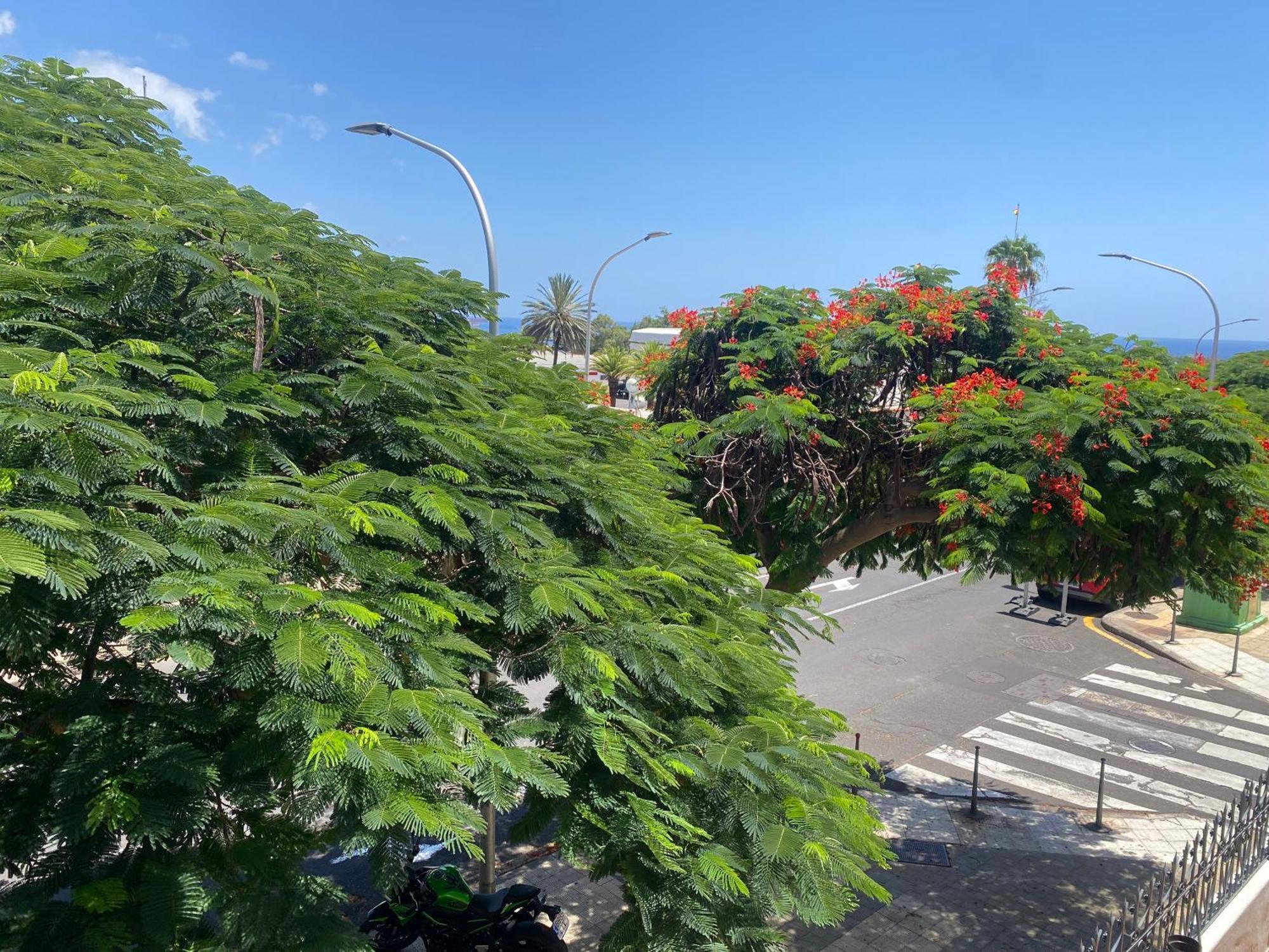Apartment Toscal Santa Cruz de Tenerife