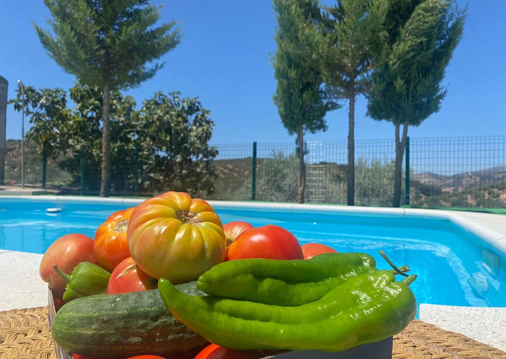 Cortijo El Nevazo Сasa de vacaciones *