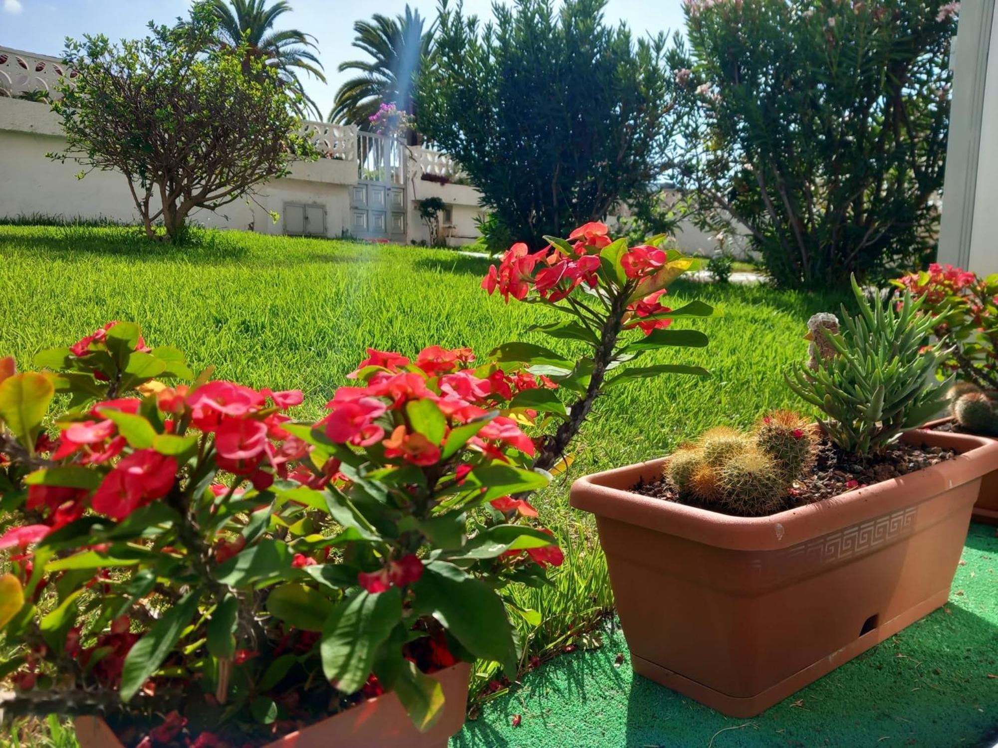 Apartamento Luminoso Y Tranquilo Estudio Zona Botánico Vista Teide