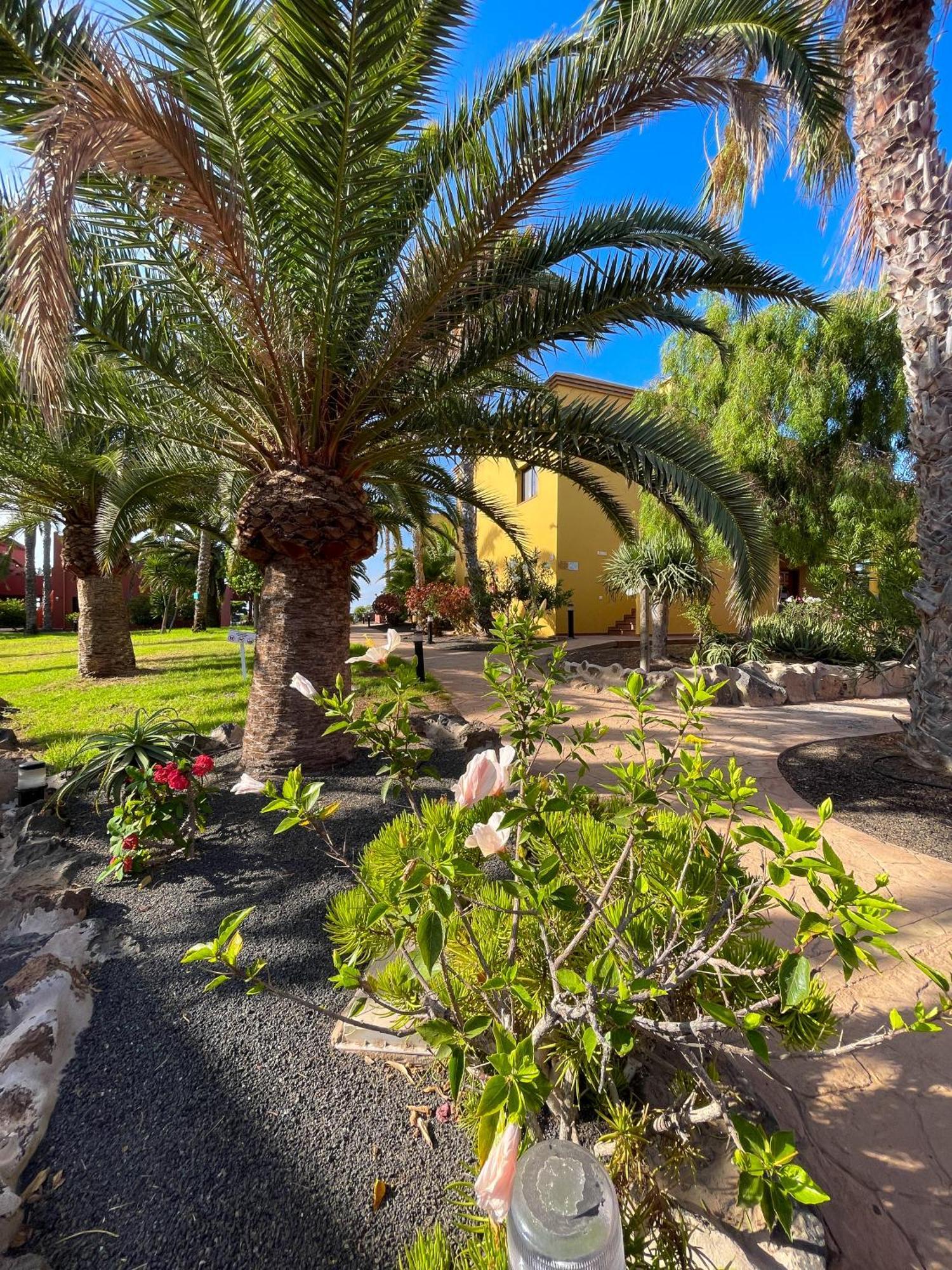 Karol By Holidays Fuerteventura Apartamento *
