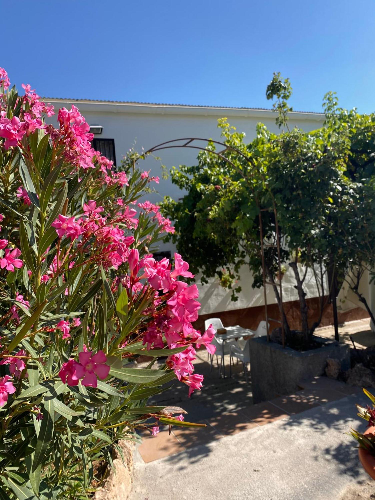 Rural Mar De Olivos Сasa de vacaciones Castril