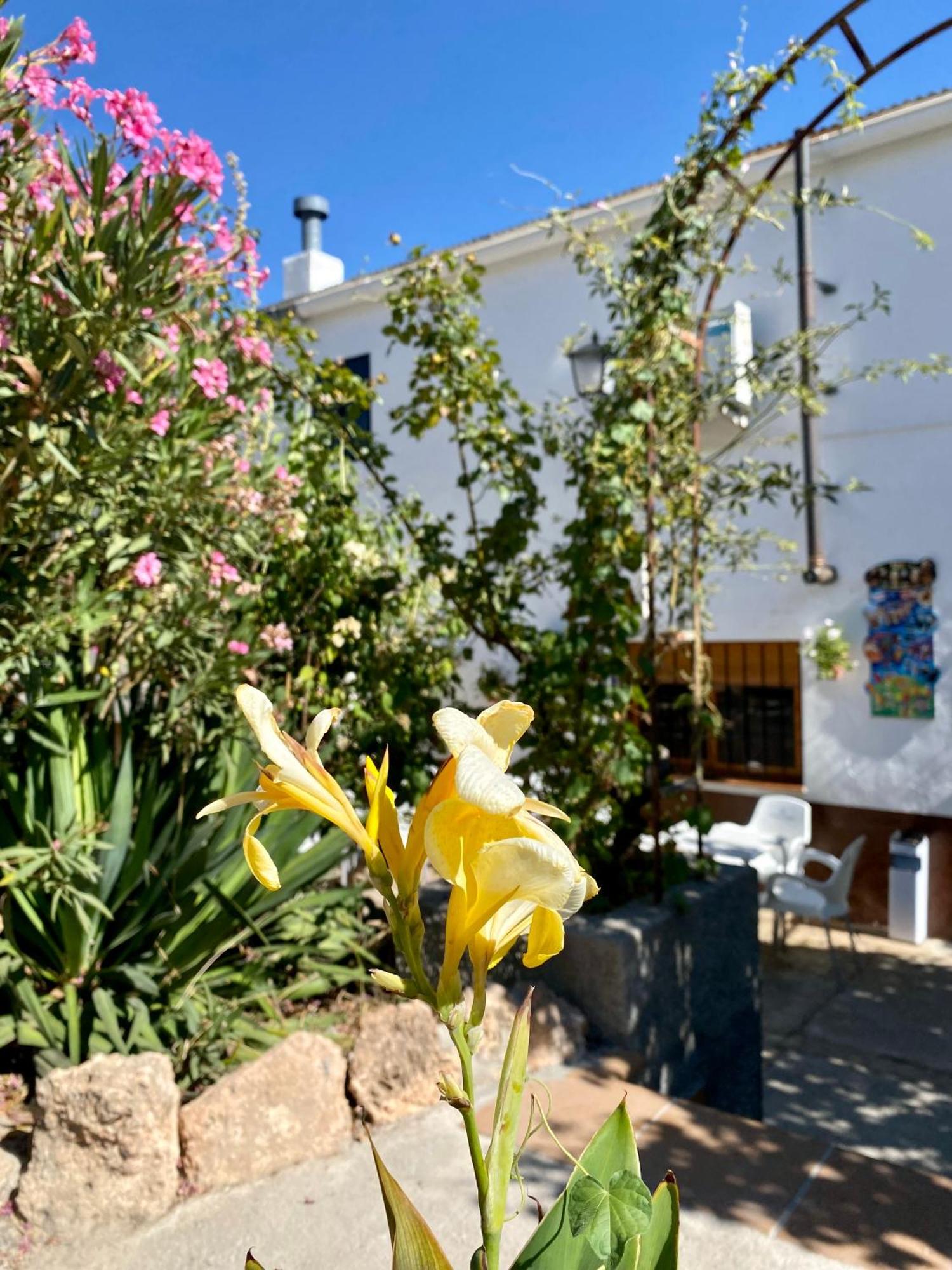Rural Mar De Olivos Сasa de vacaciones *