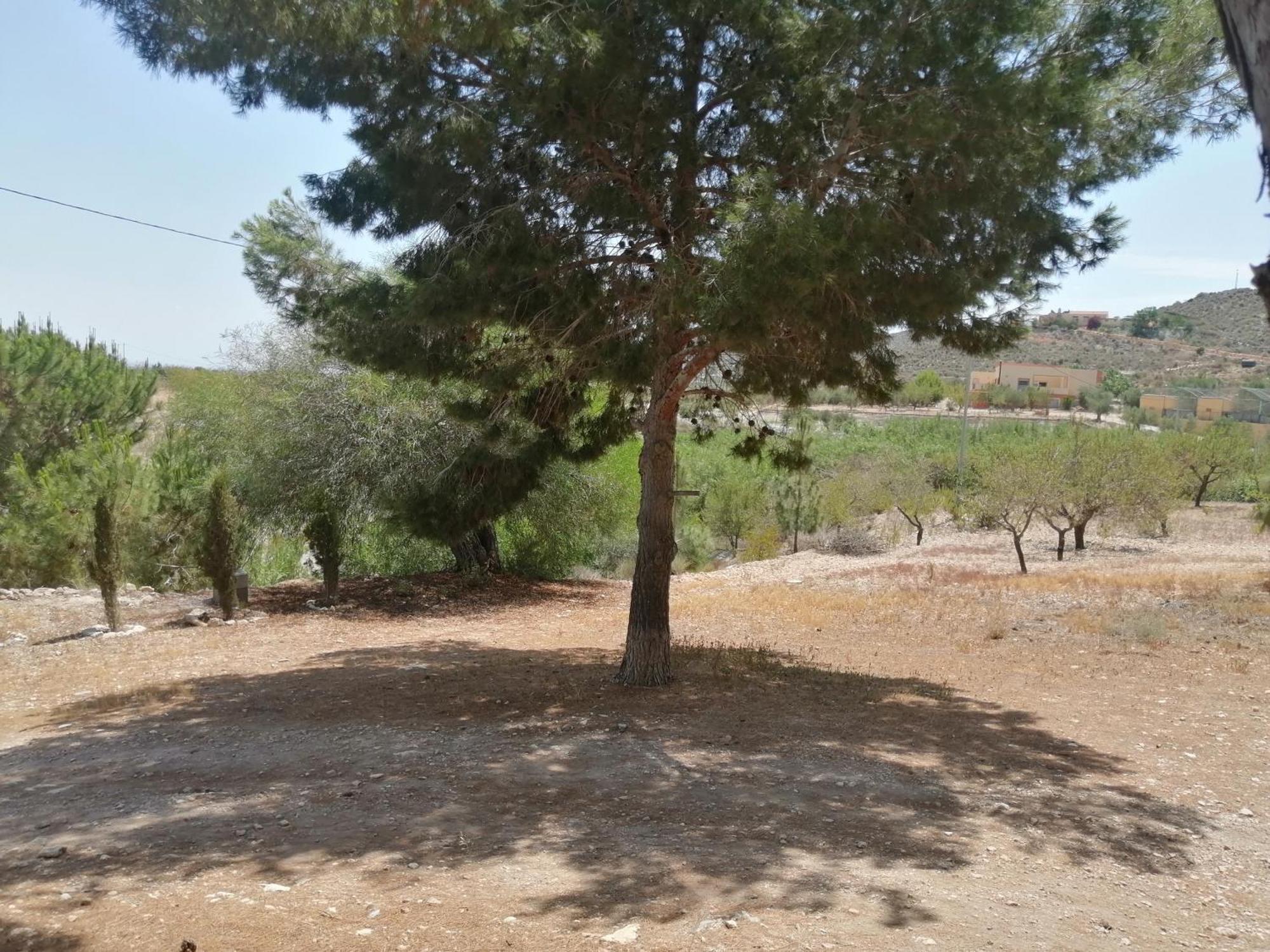 Cortijo El Pericon Сasa de vacaciones La Aljorra