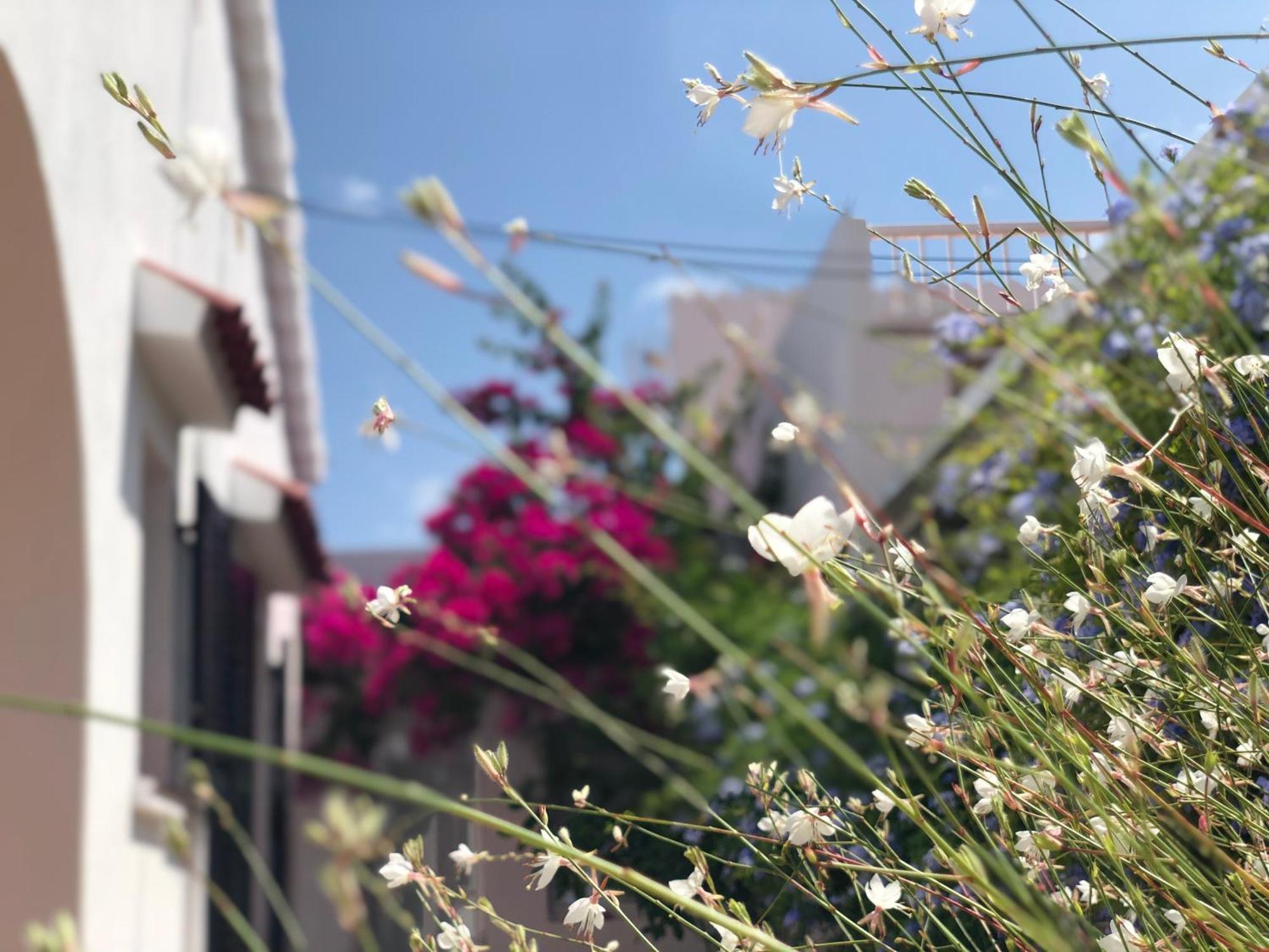 Doble Con Bano Privado Casa Tipica Ciutadella Centro * Ciutadella (Menorca)