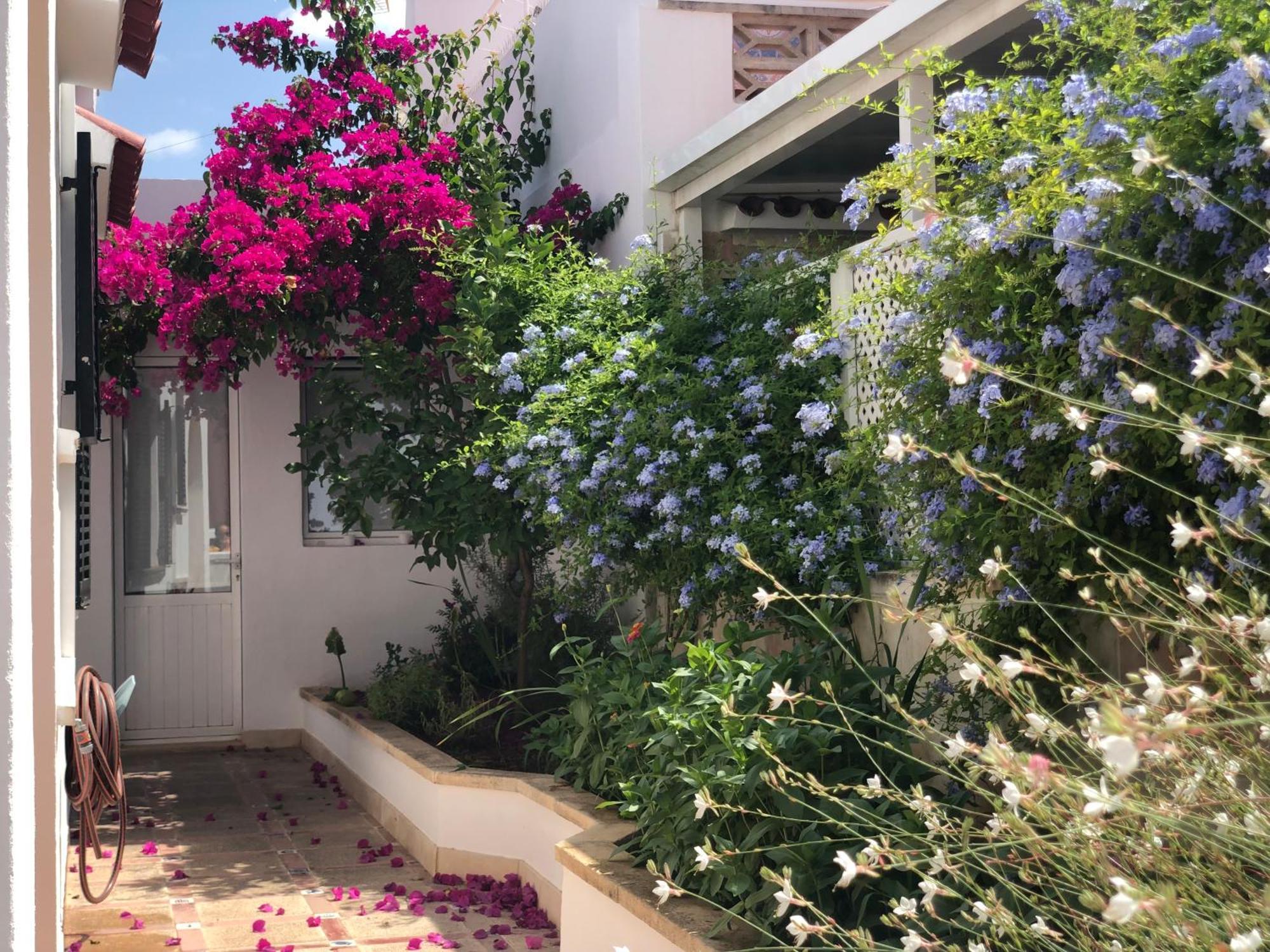 Doble Con Bano Privado Casa Tipica Ciutadella Centro Homestay