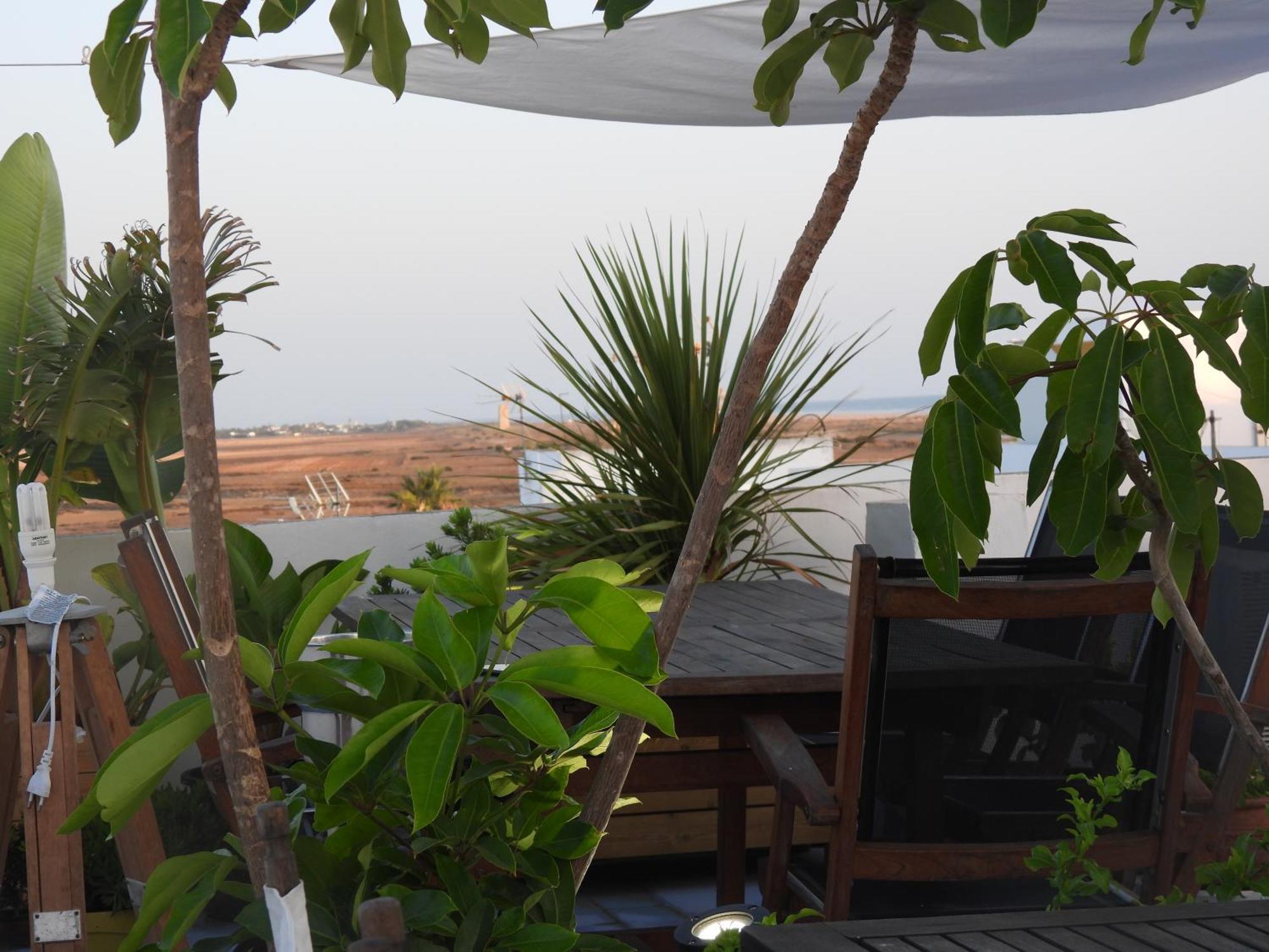 Apartment Aba Dali