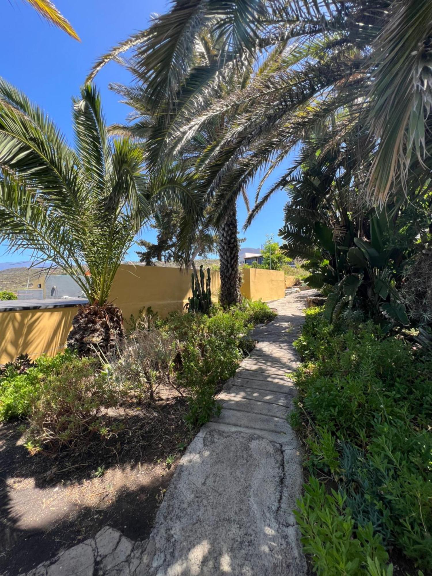 Casa Buena Vista *