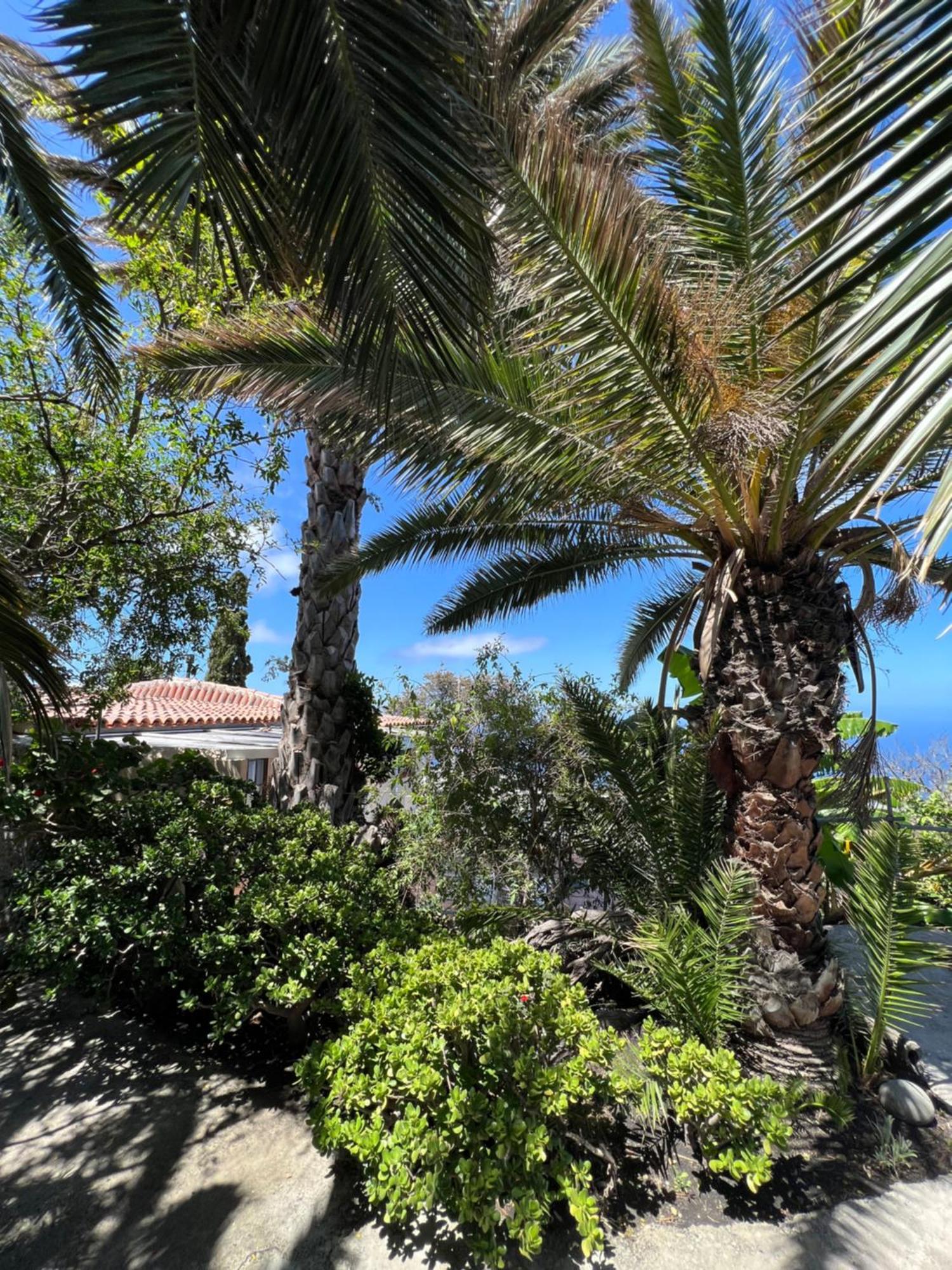 Casa Buena Vista Holiday home *