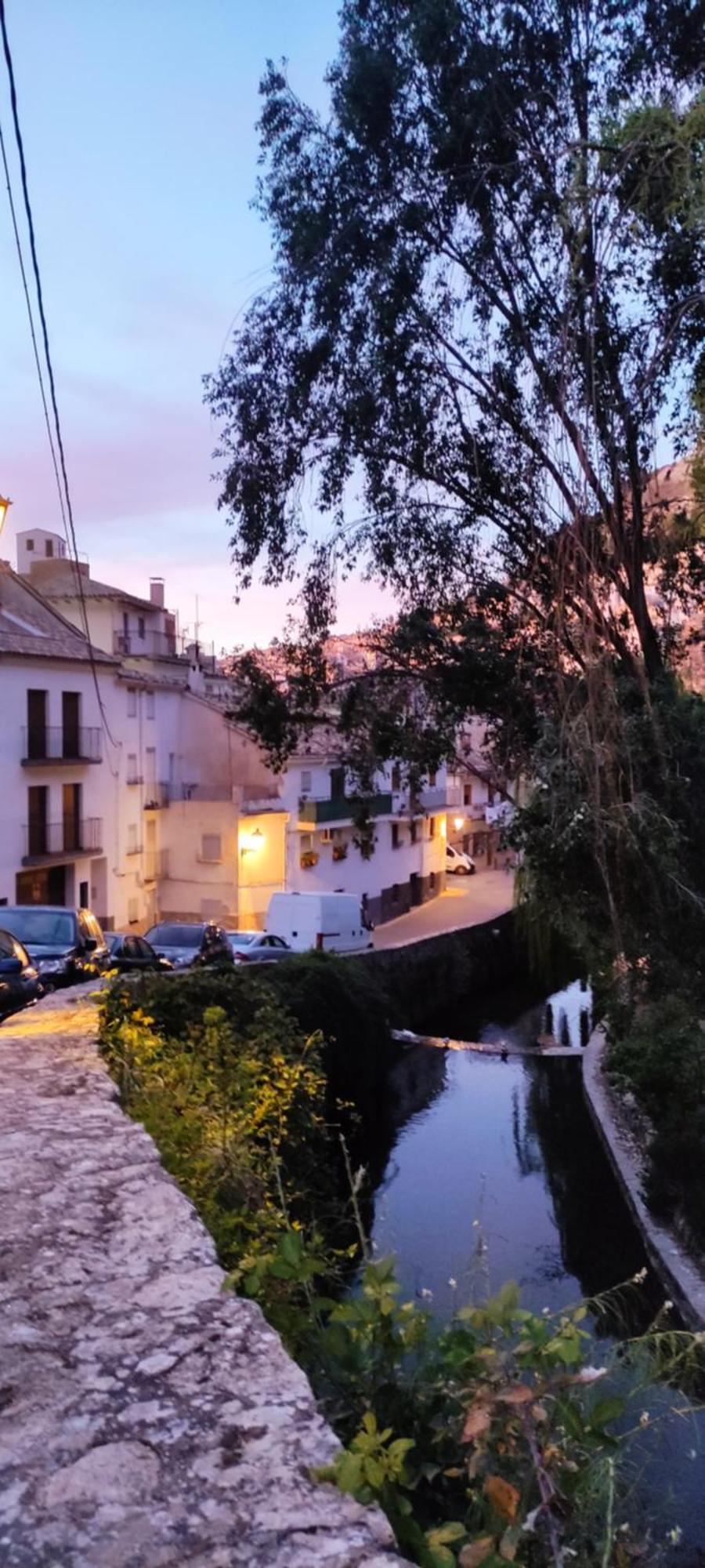 Yolanda Apartamento Cazorla