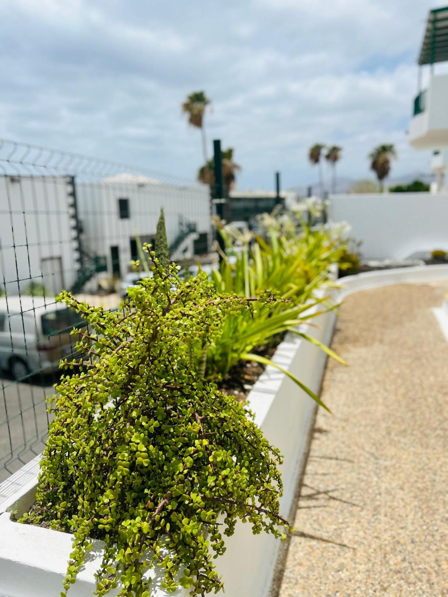 -montorian -lanzarote Apartamento *