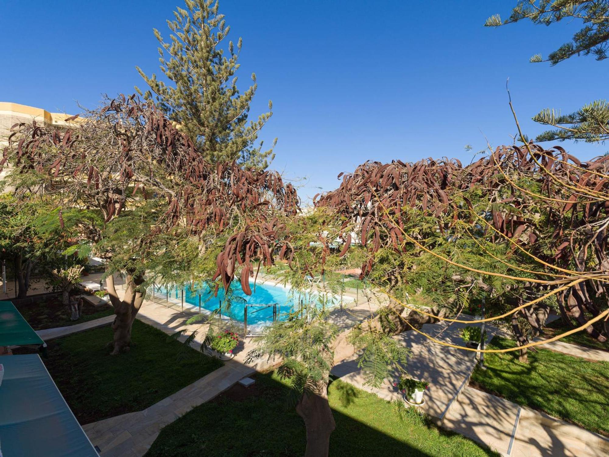 Timon Apartamento San Agustín