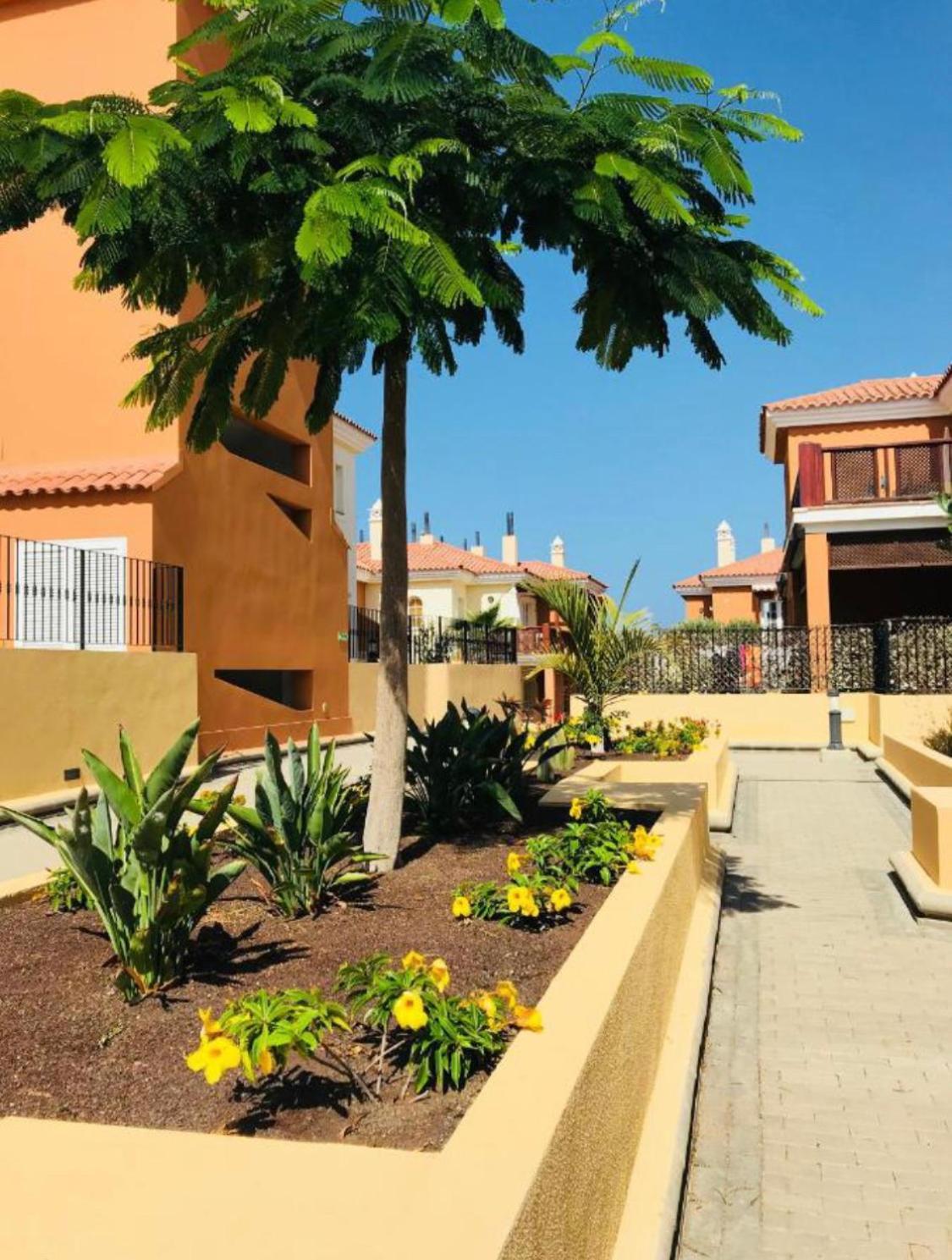 Selena Luxury Monte Carrera