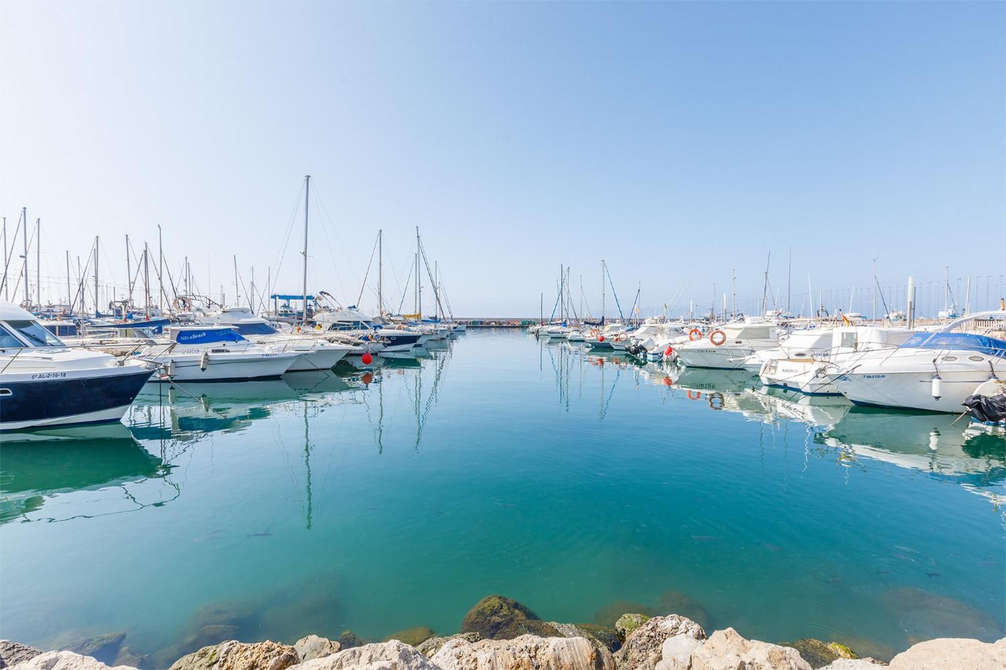 Apartment A&n Seaport Caleta *