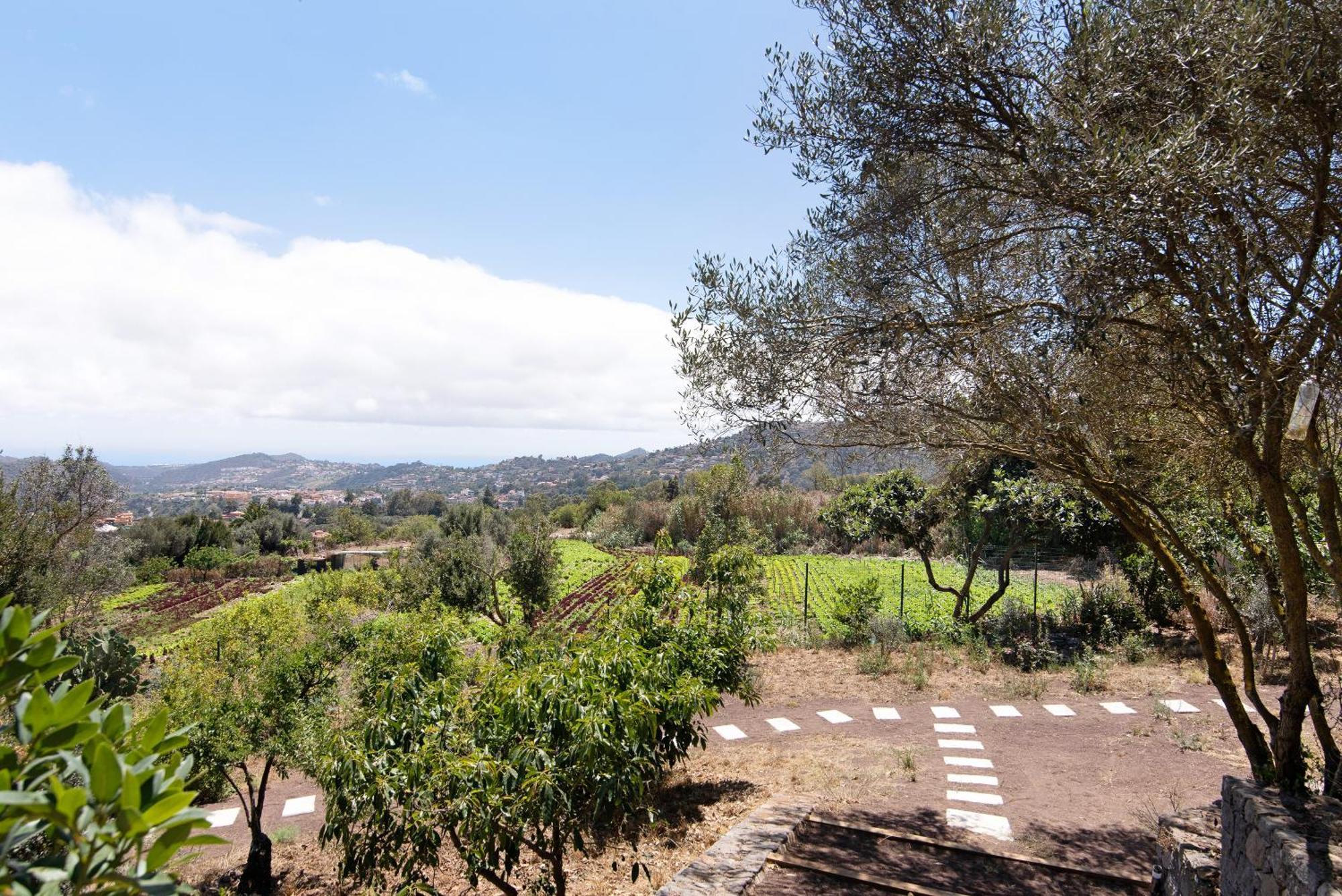 Villa La Casita De La Orilla De Penate Santa Brigida (Gran Canaria)