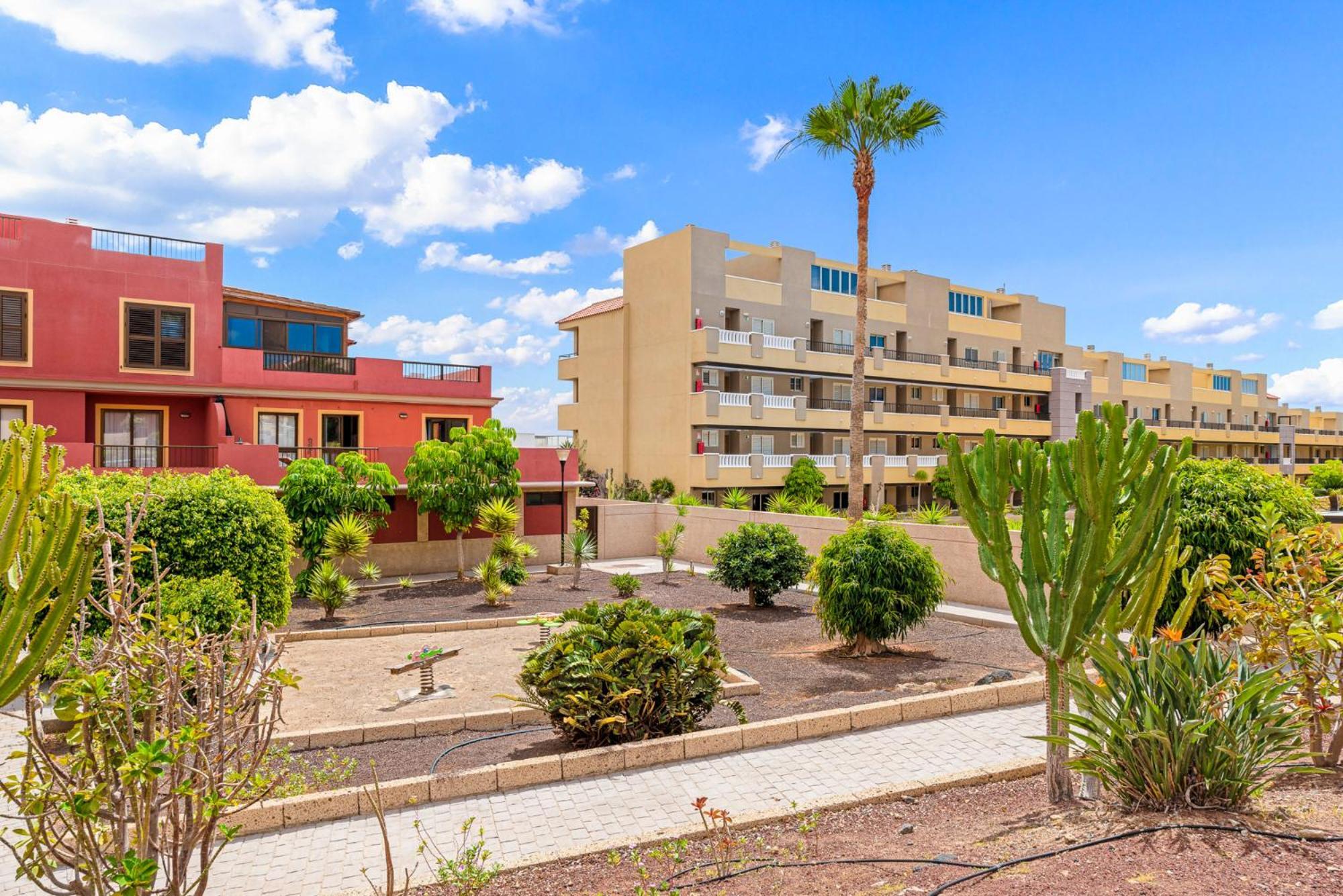 Apartment Medano4you The Terrace *