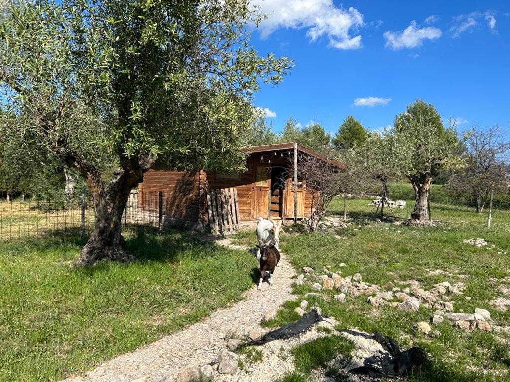 Camping Rural La Masia