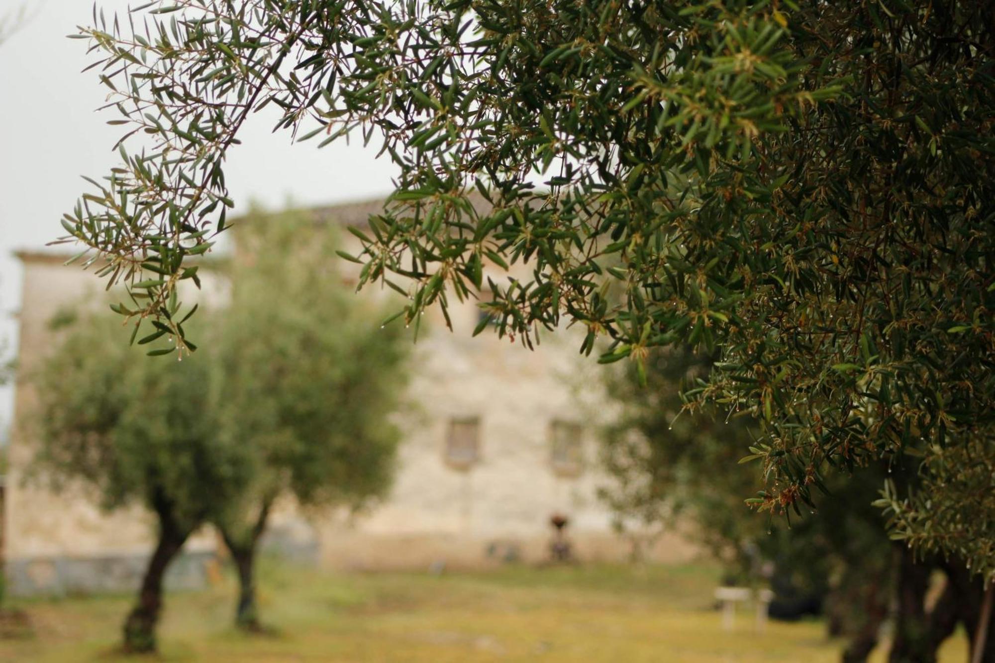 Luxury tent Camping Rural La Masia *