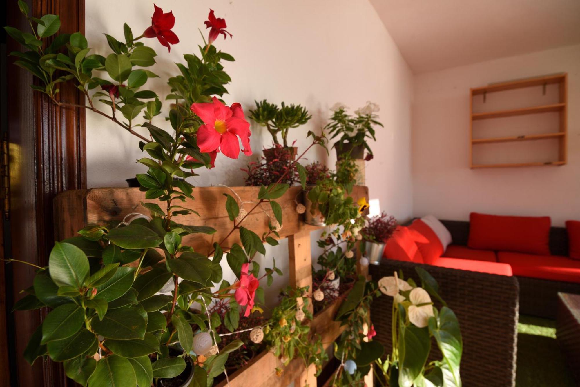Сasa de vacaciones La Casa De Las Flores