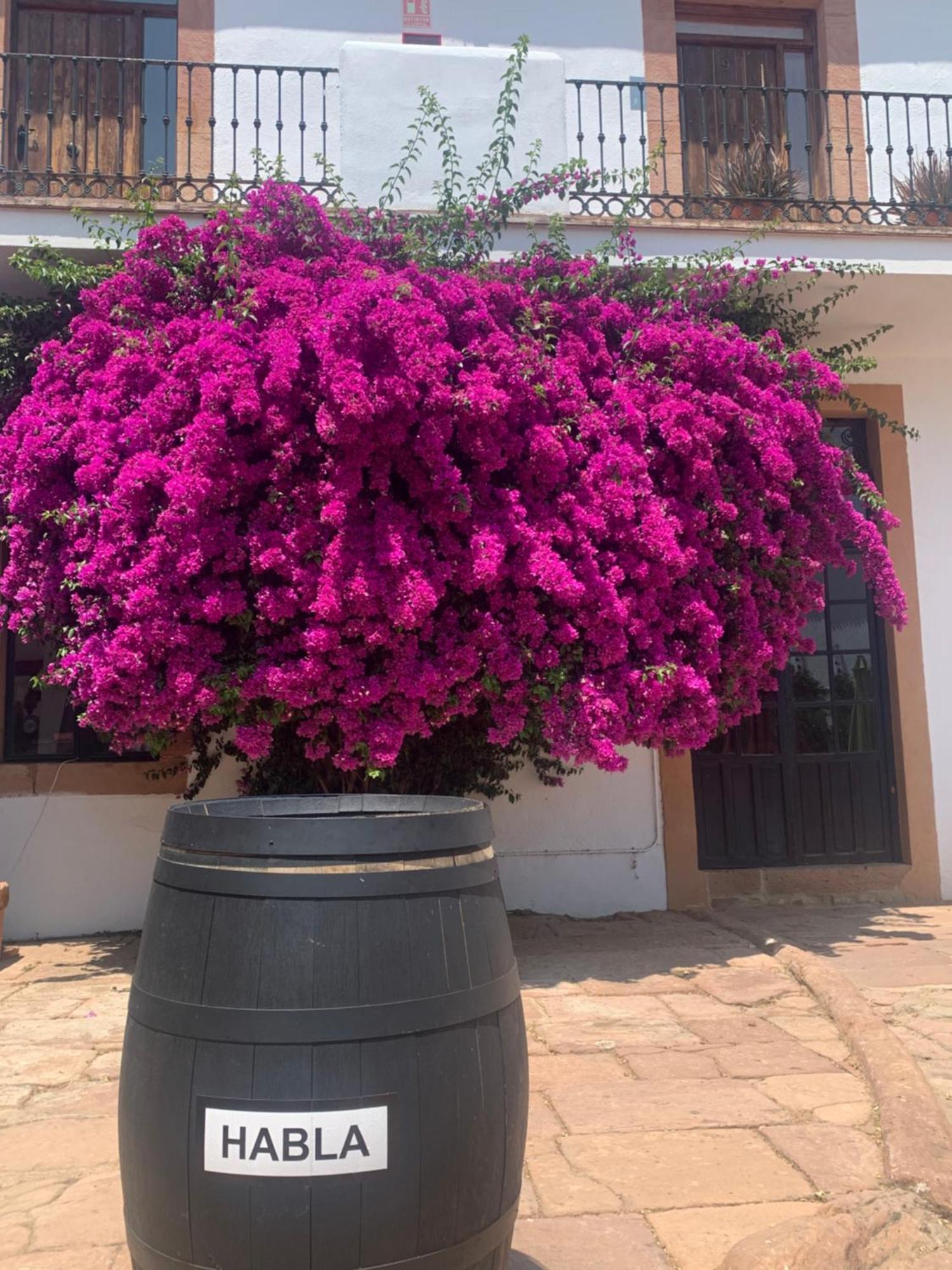 Molino La Nava