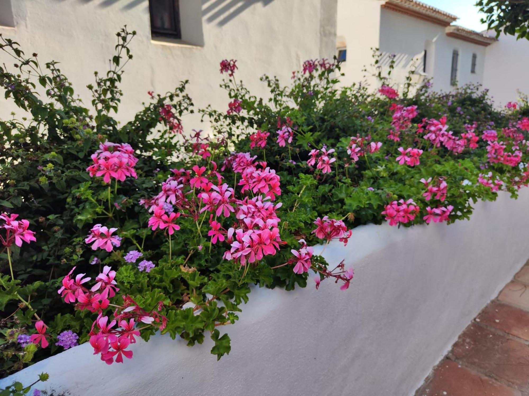Apartamento Dona Lola , Luminoso Calahonda, Mijas
