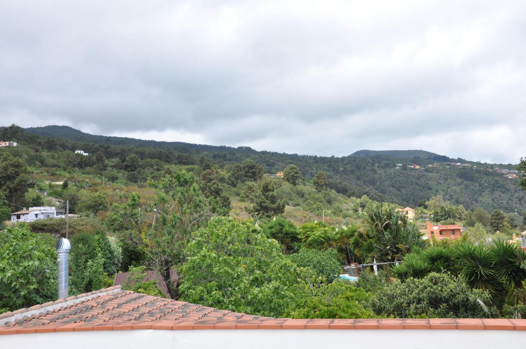 Bed & Breakfast Oasis Hill Icod De Vinos *