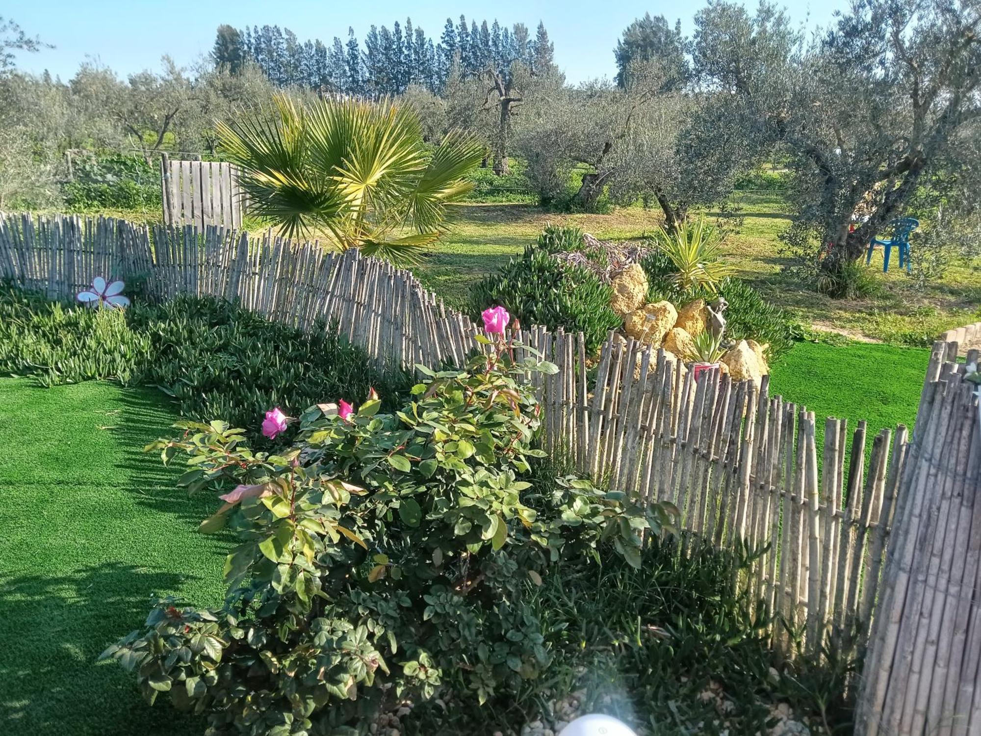 Casa Halcon