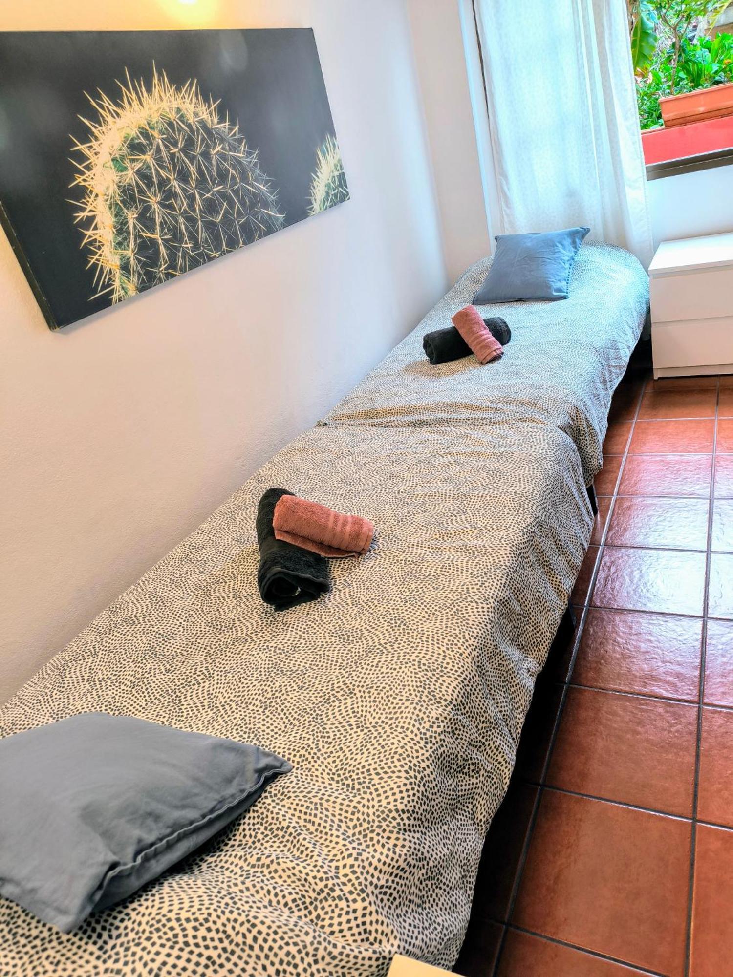 La Casa De Las Flores Tacoronte