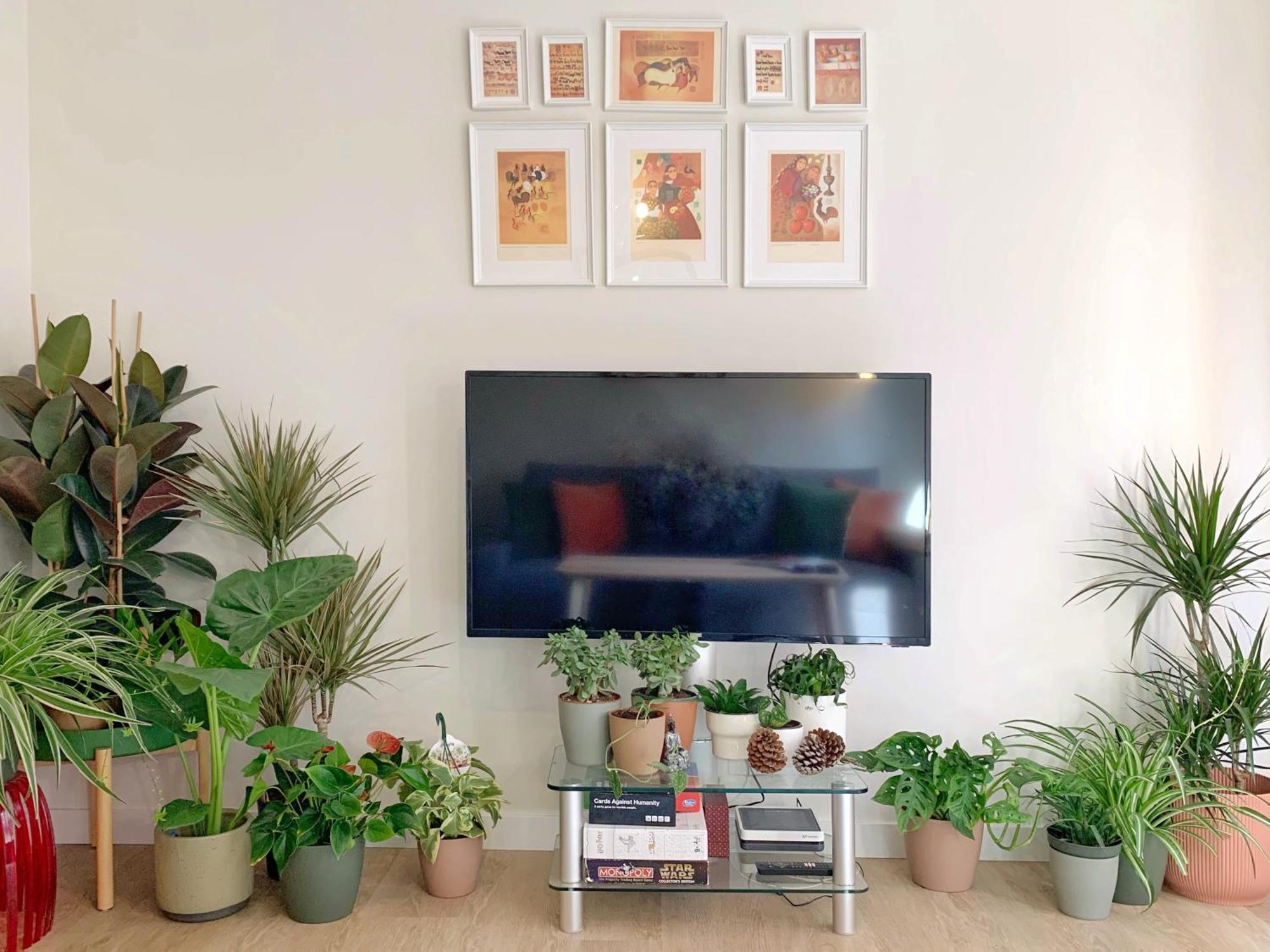 Charming Flat In Bermeo's Old Town- Nardiz Apartment Bermeo